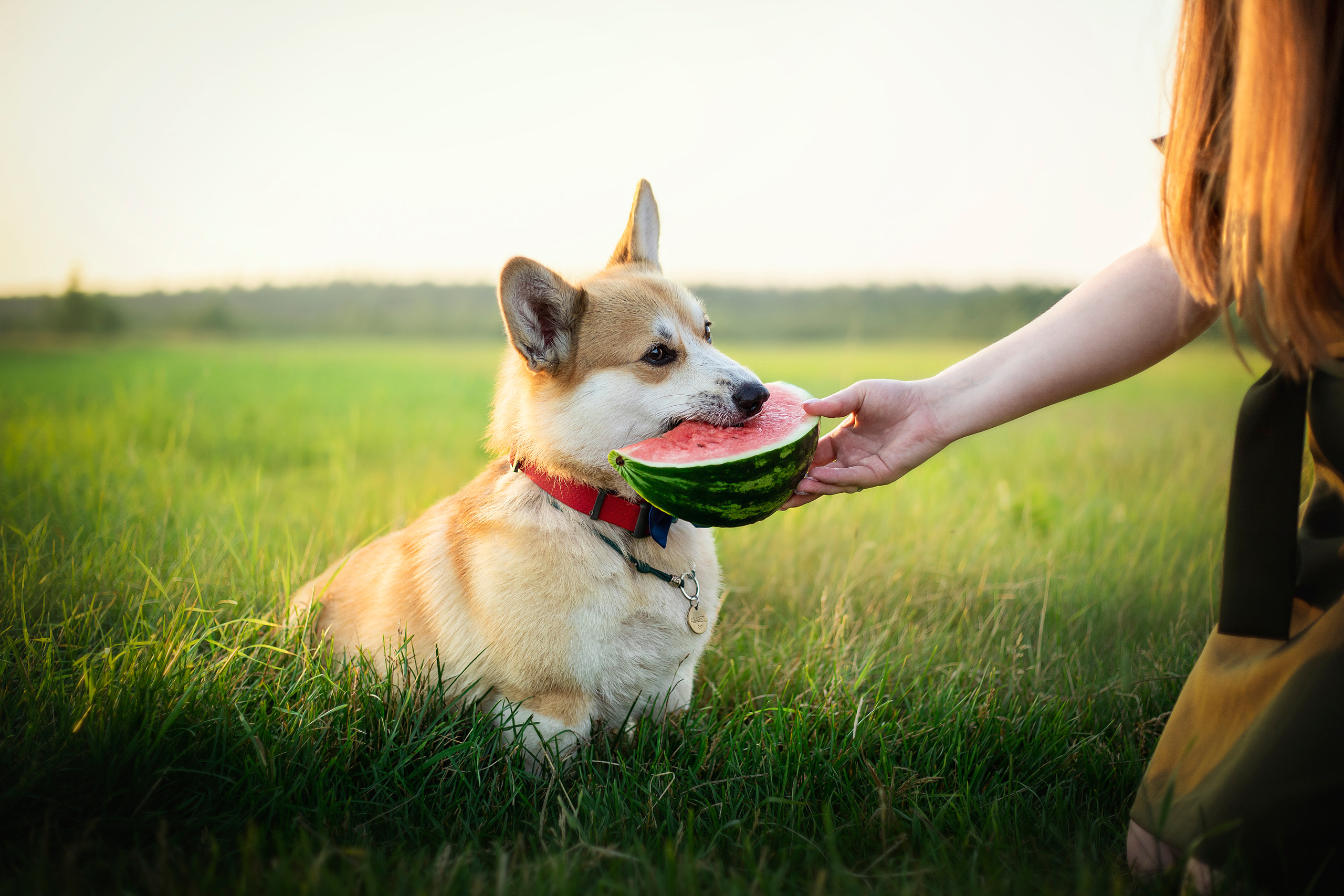 Катя и Азазель. Фотограф — Анималист | Санкт-Петербург