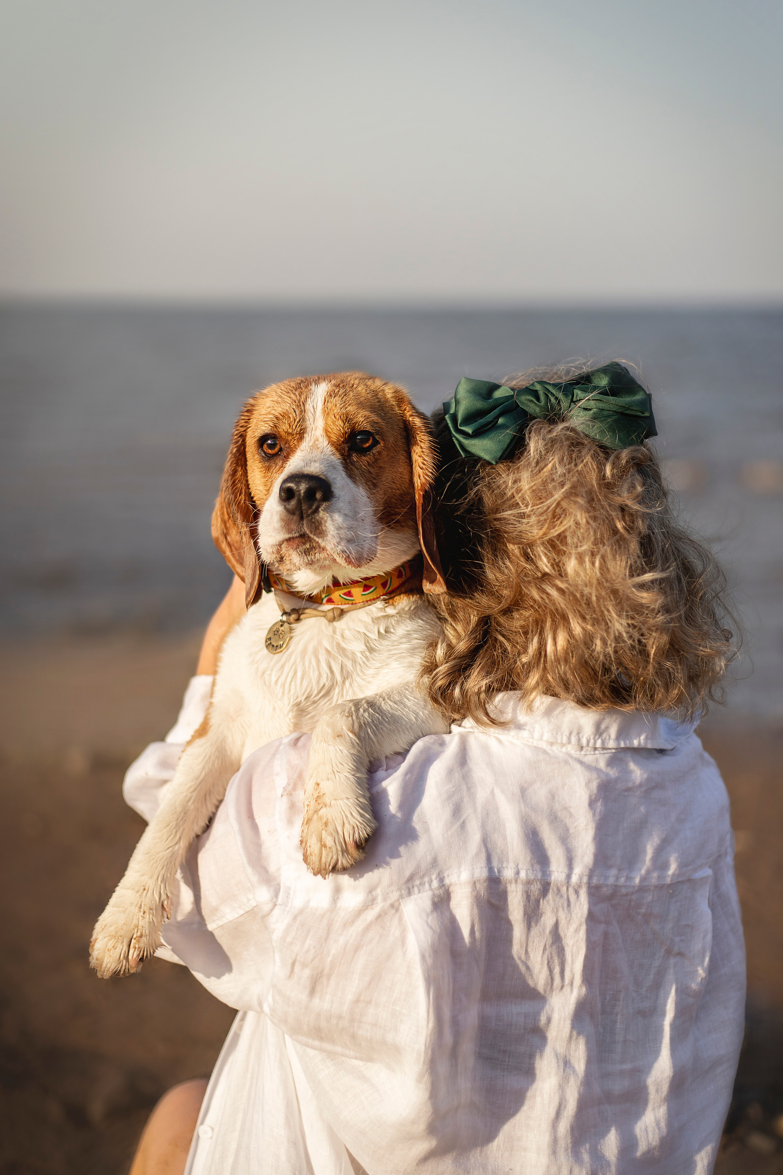 Полина и Бетти. Фотограф — Анималист | Санкт-Петербург