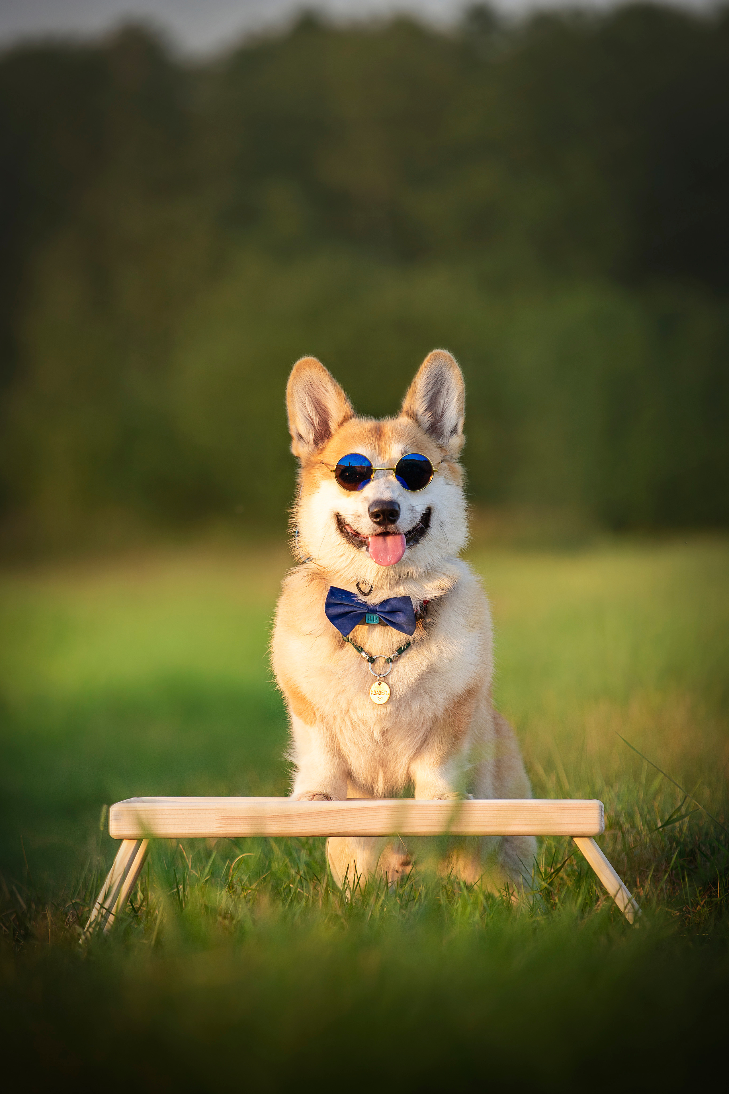 Катя и Азазель. Фотограф — Анималист | Санкт-Петербург