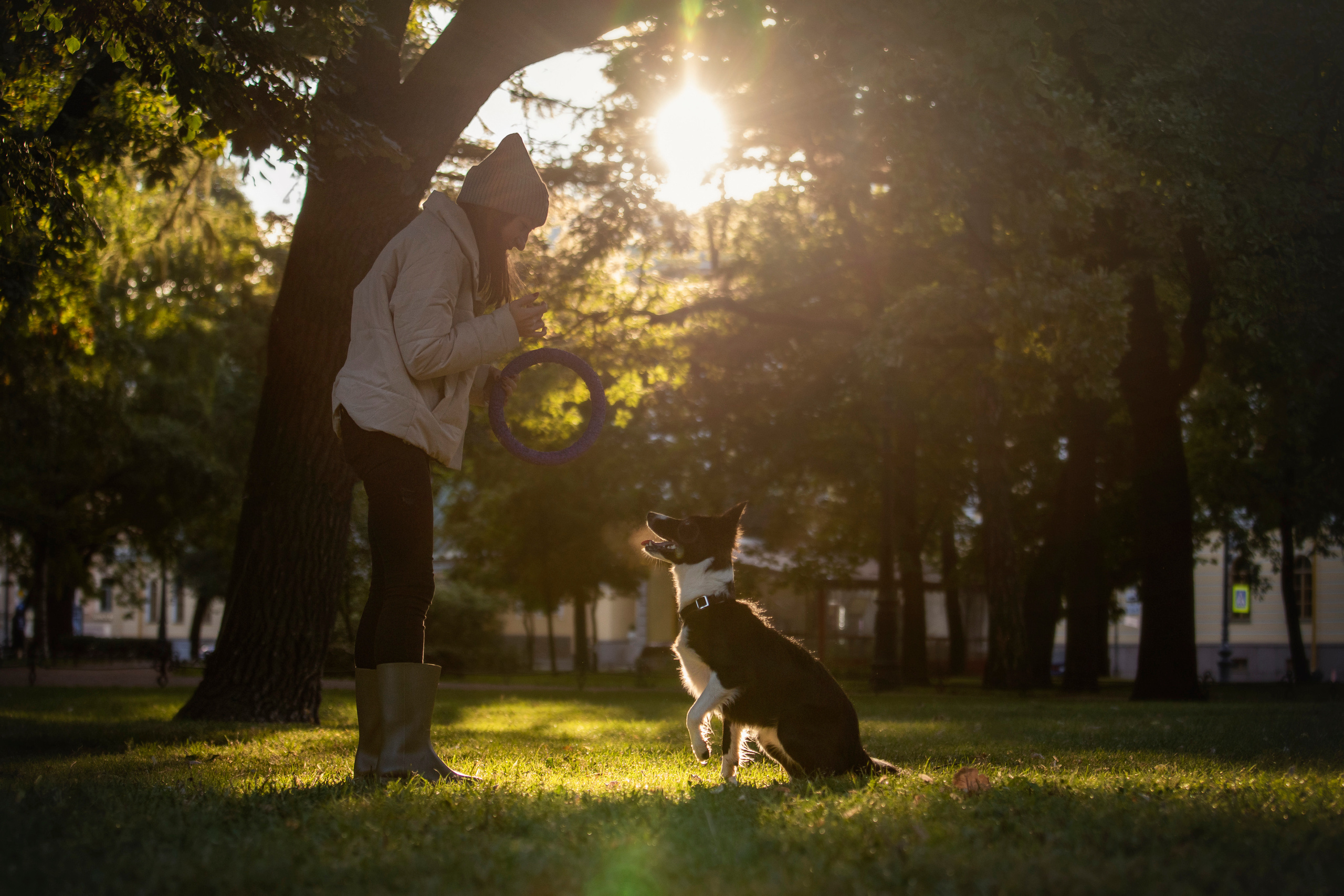 Лана, Тэгра и их семья. Фотограф — Анималист | Санкт-Петербург