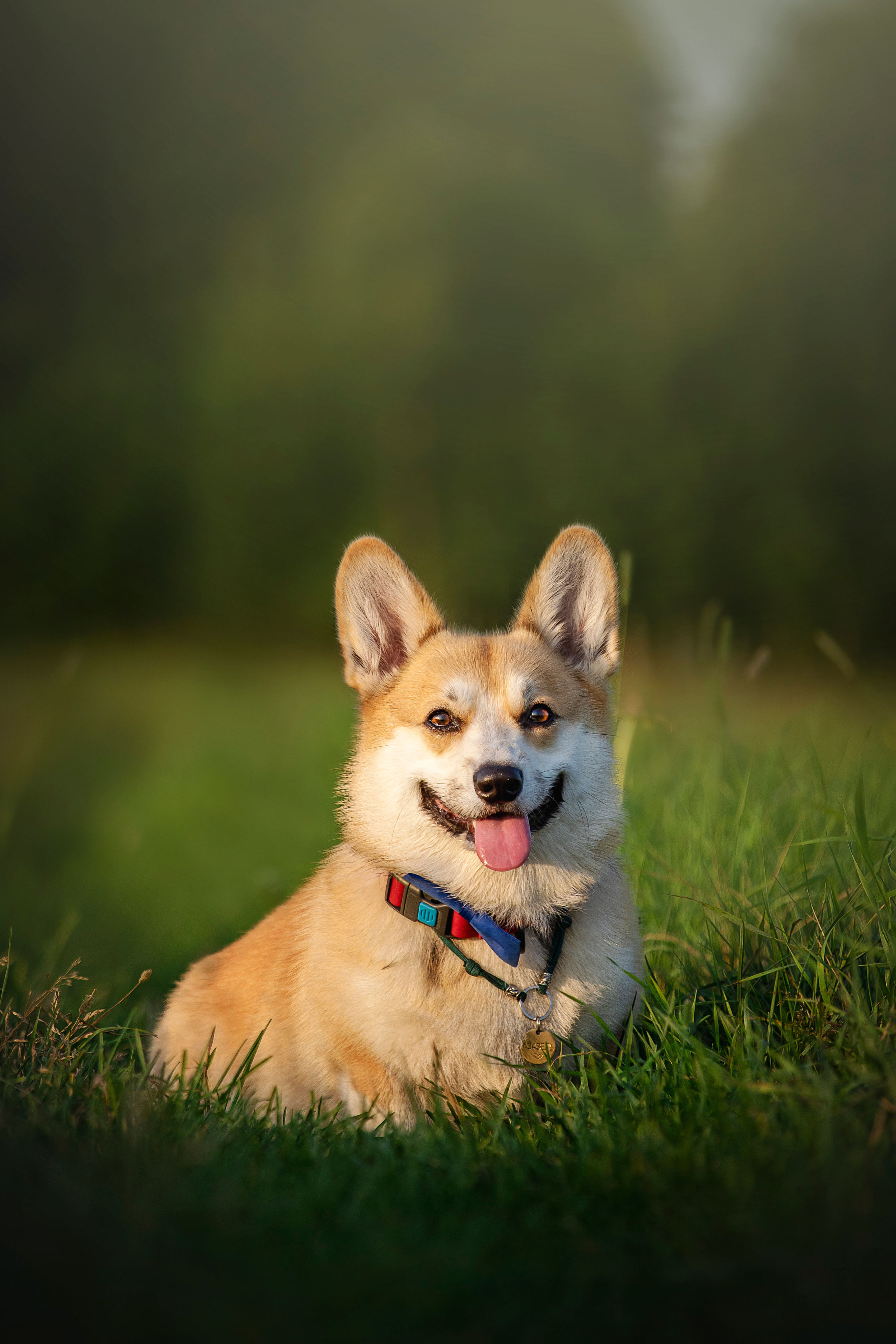 Катя и Азазель. Фотограф — Анималист | Санкт-Петербург