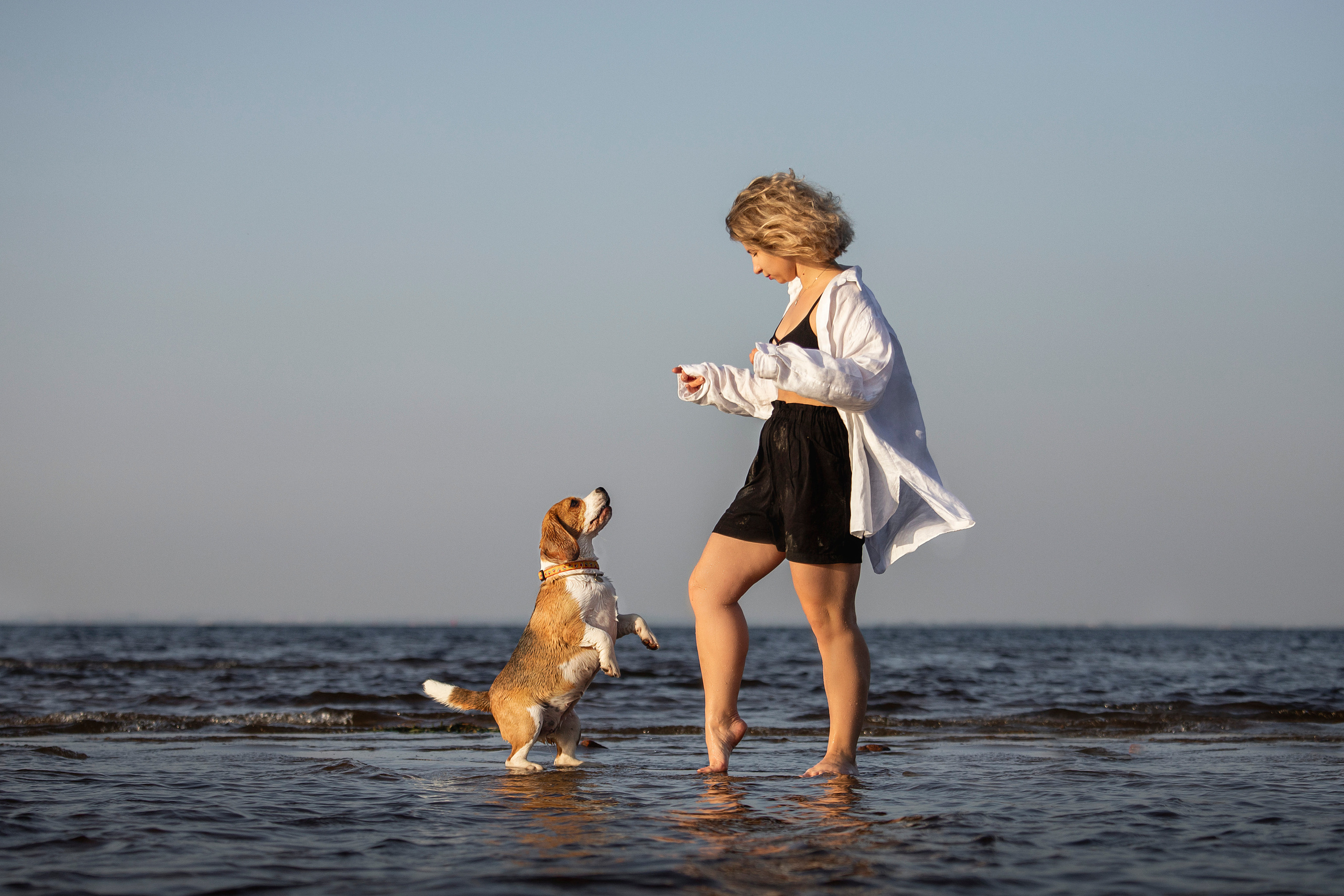 Полина и Бетти. Фотограф — Анималист | Санкт-Петербург