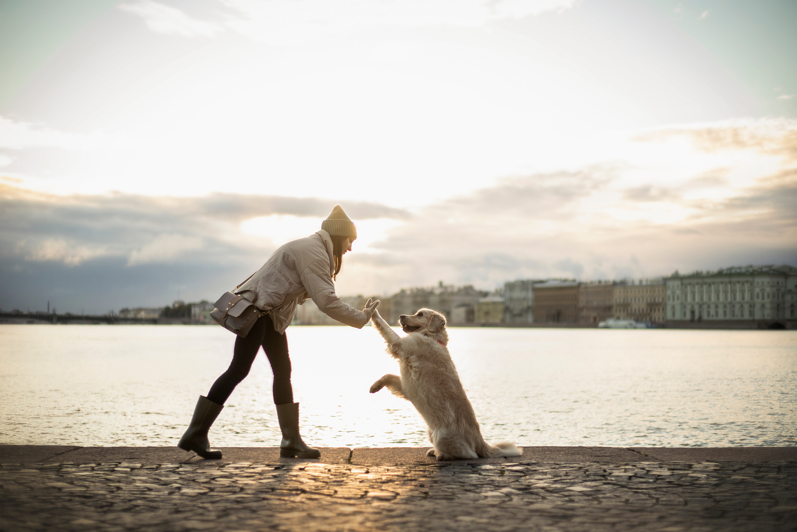 Лана, Тэгра и их семья. Фотограф — Анималист | Санкт-Петербург