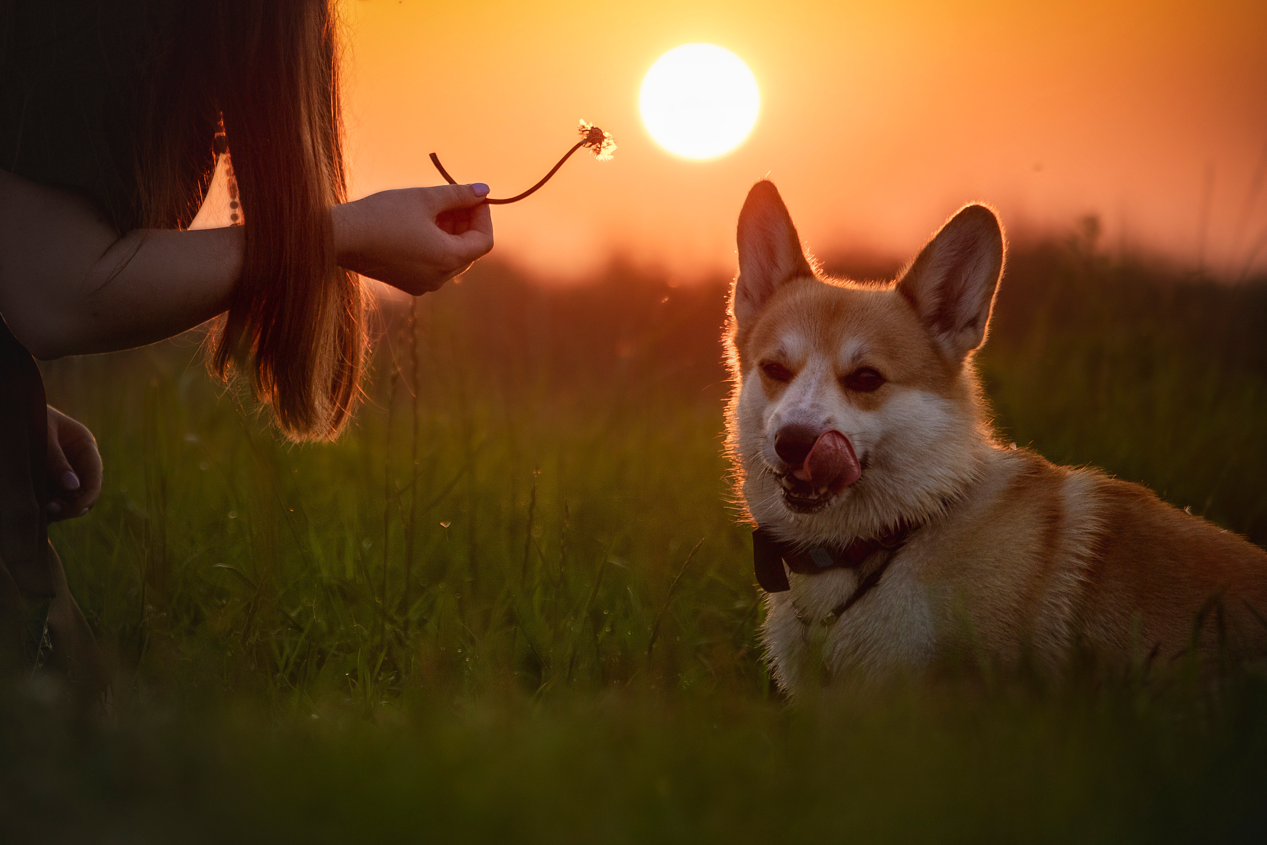 Катя и Азазель. Фотограф — Анималист | Санкт-Петербург