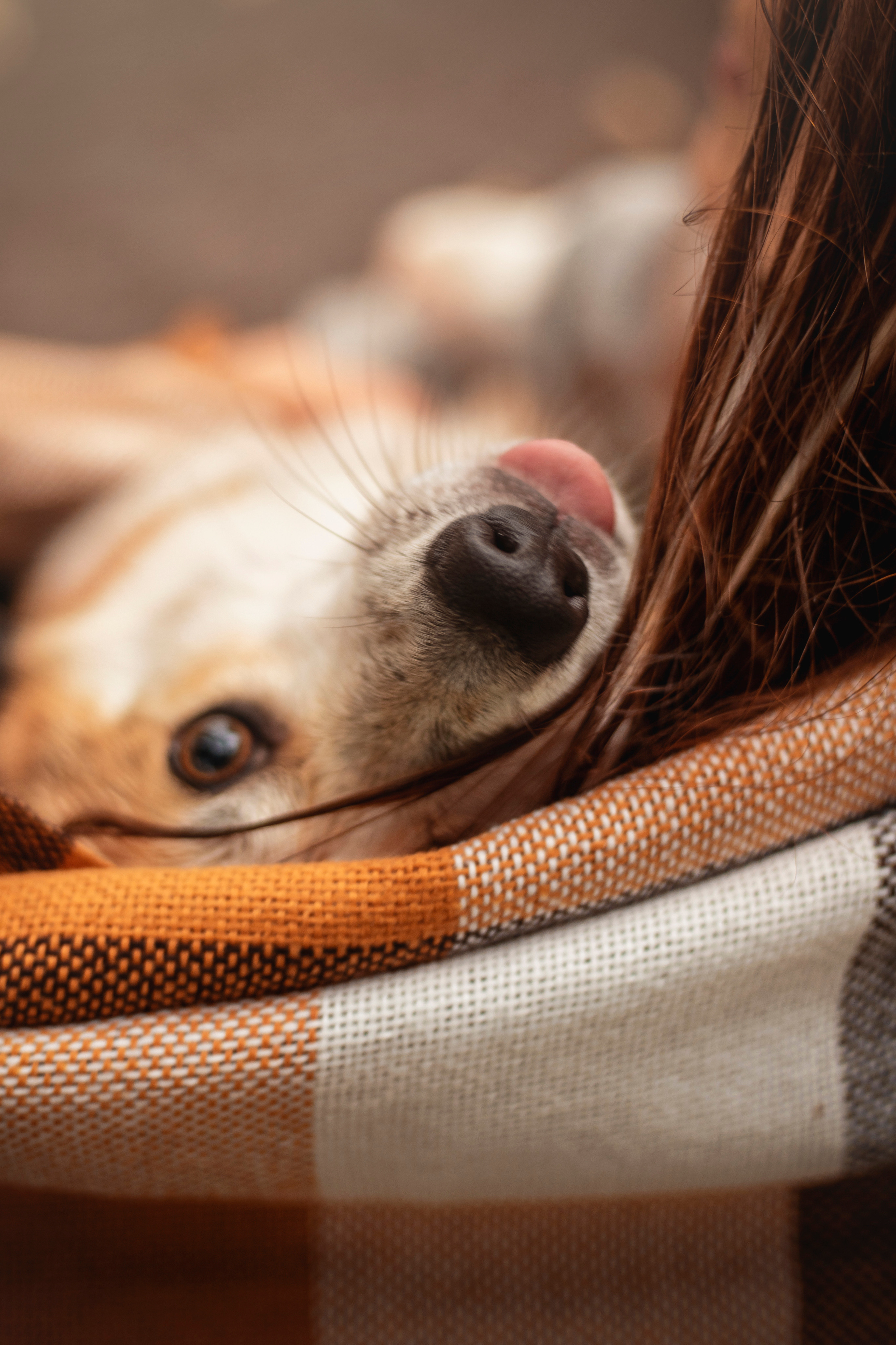 Оля и Оливка. Фотограф — Анималист | Санкт-Петербург
