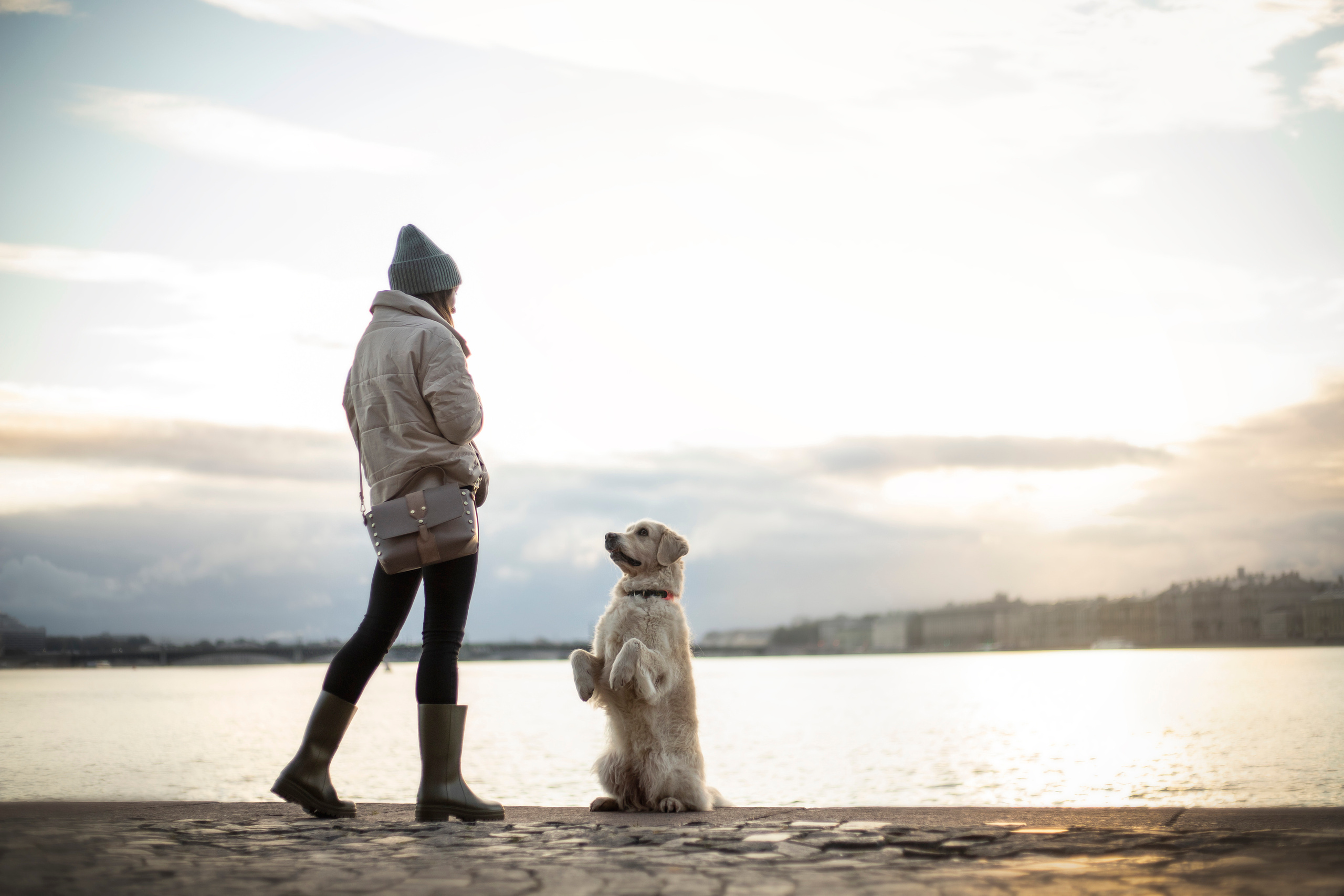 Лана, Тэгра и их семья. Фотограф — Анималист | Санкт-Петербург