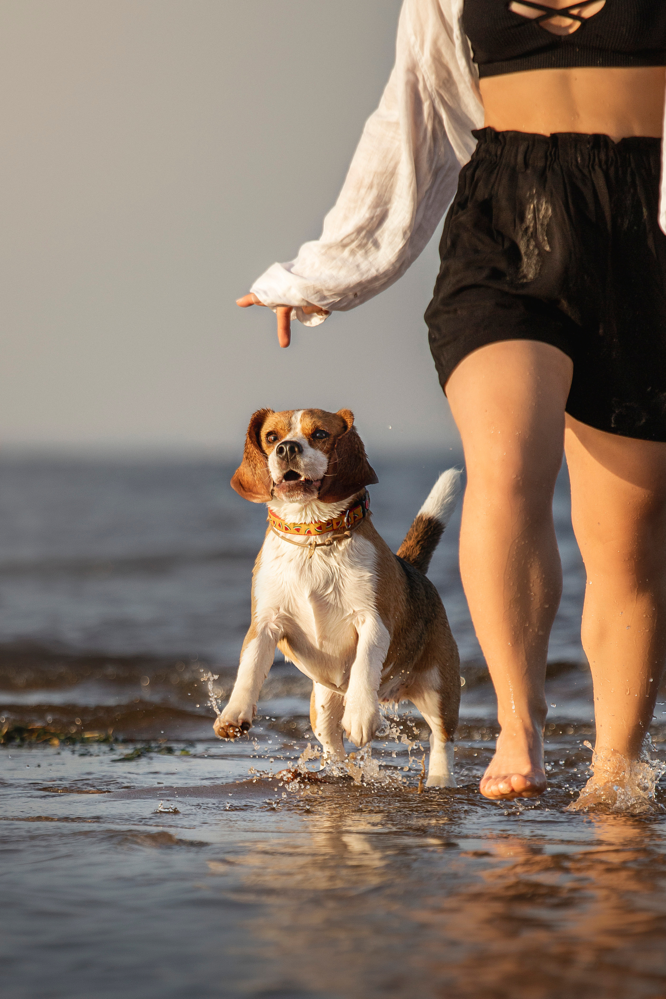 Полина и Бетти. Фотограф — Анималист | Санкт-Петербург