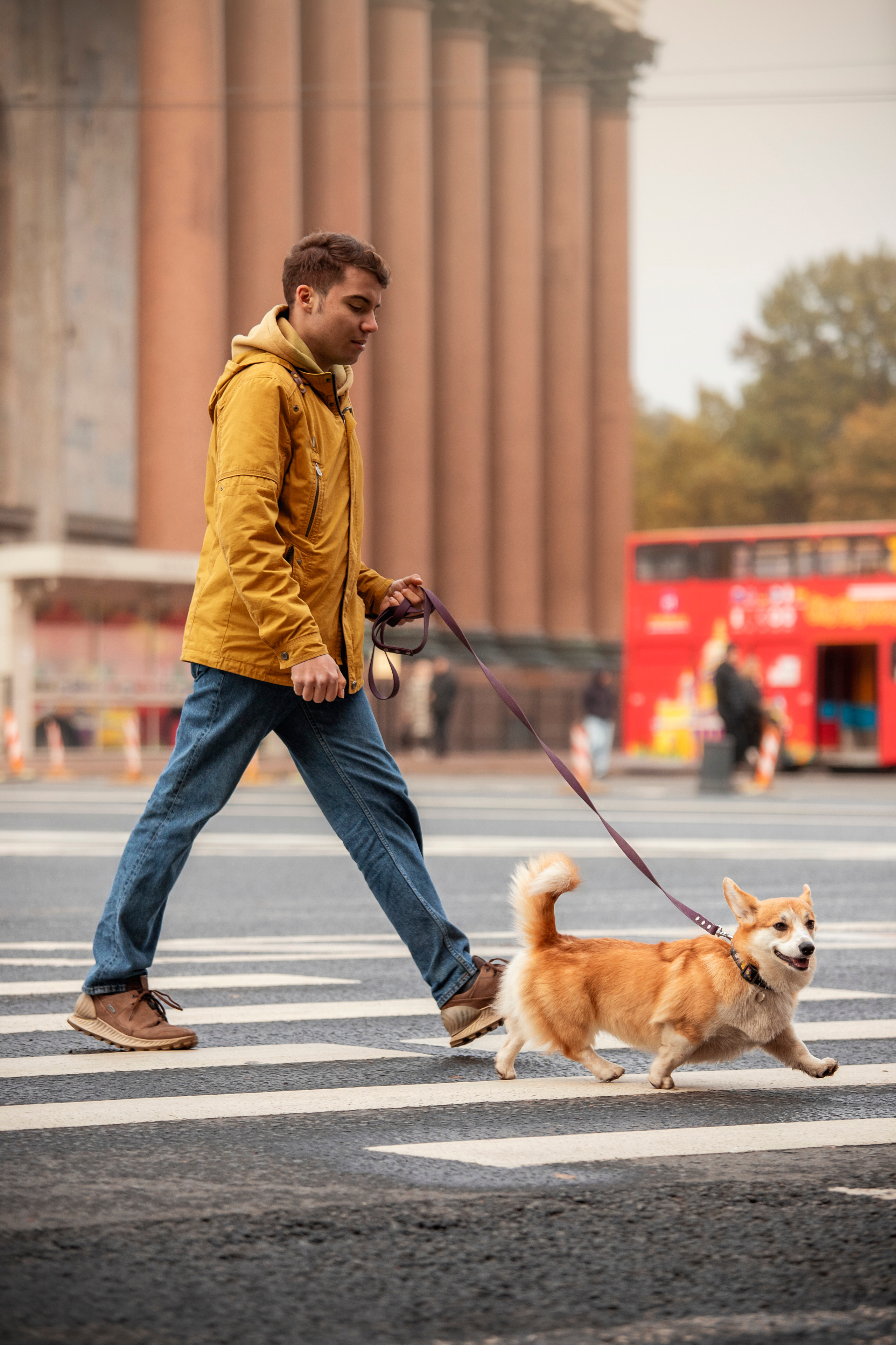 Егор и Никси. Фотограф — Анималист | Санкт-Петербург