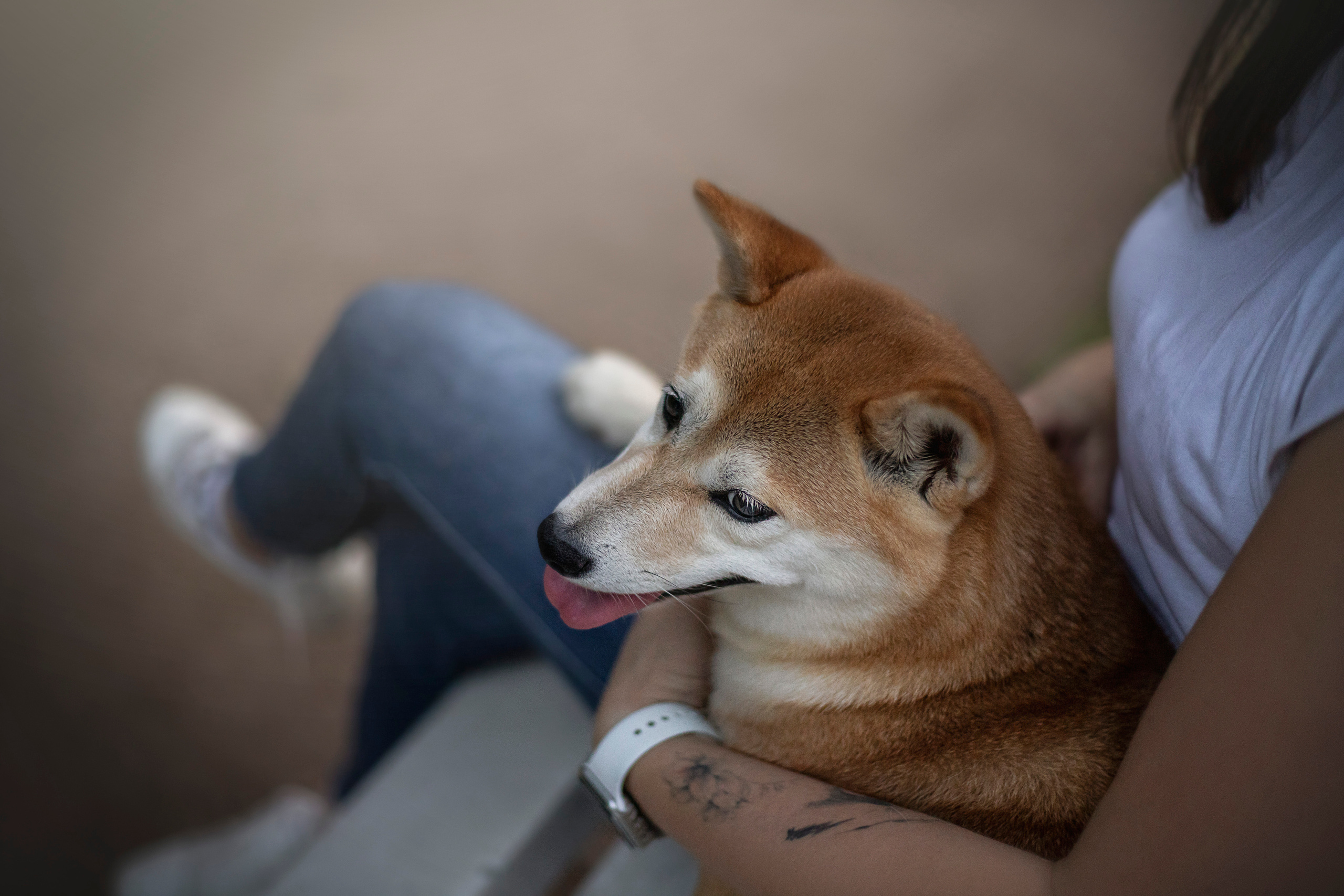 Саша и Айка. Фотограф — Анималист | Санкт-Петербург