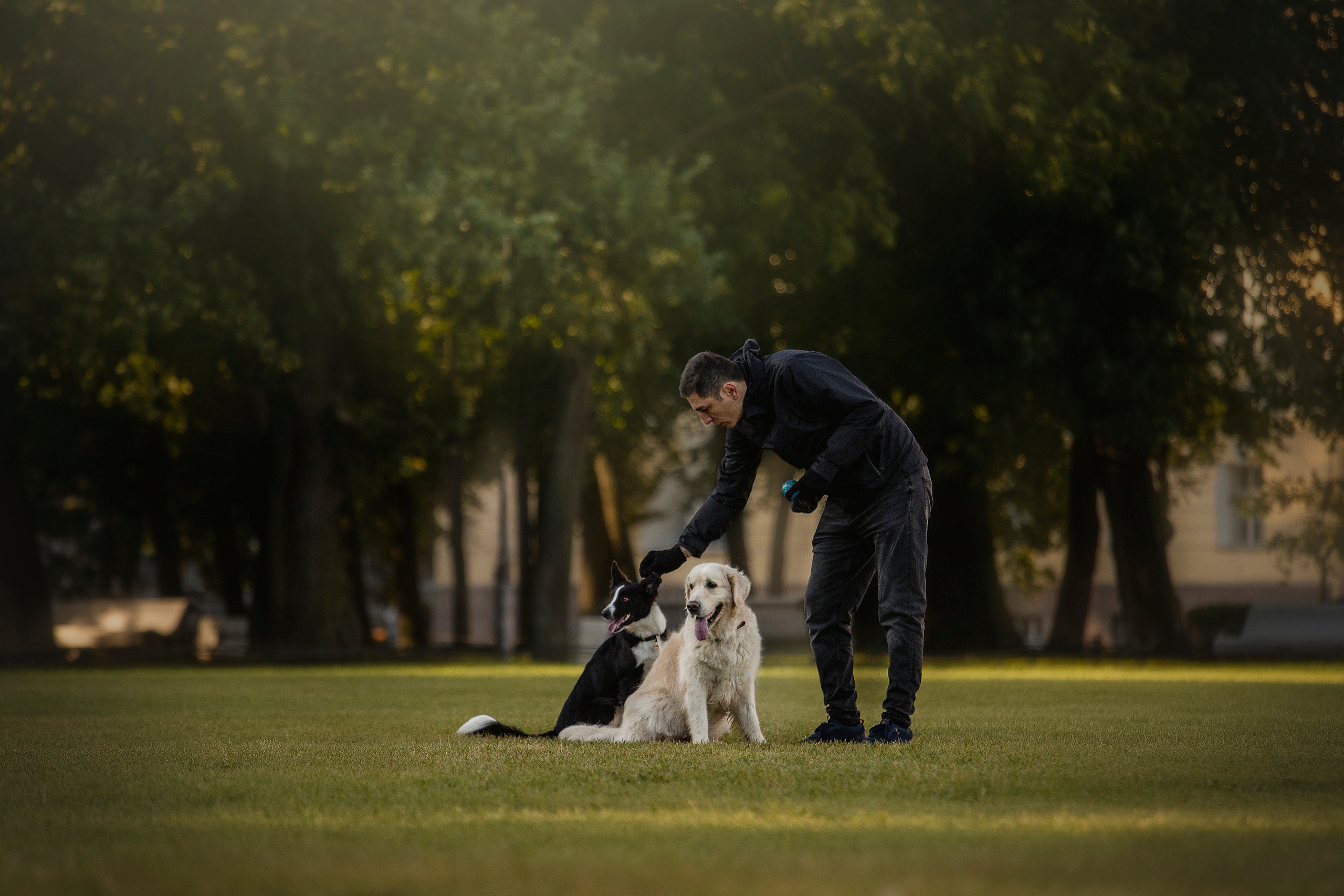 Лана, Тэгра и их семья. Фотограф — Анималист | Санкт-Петербург