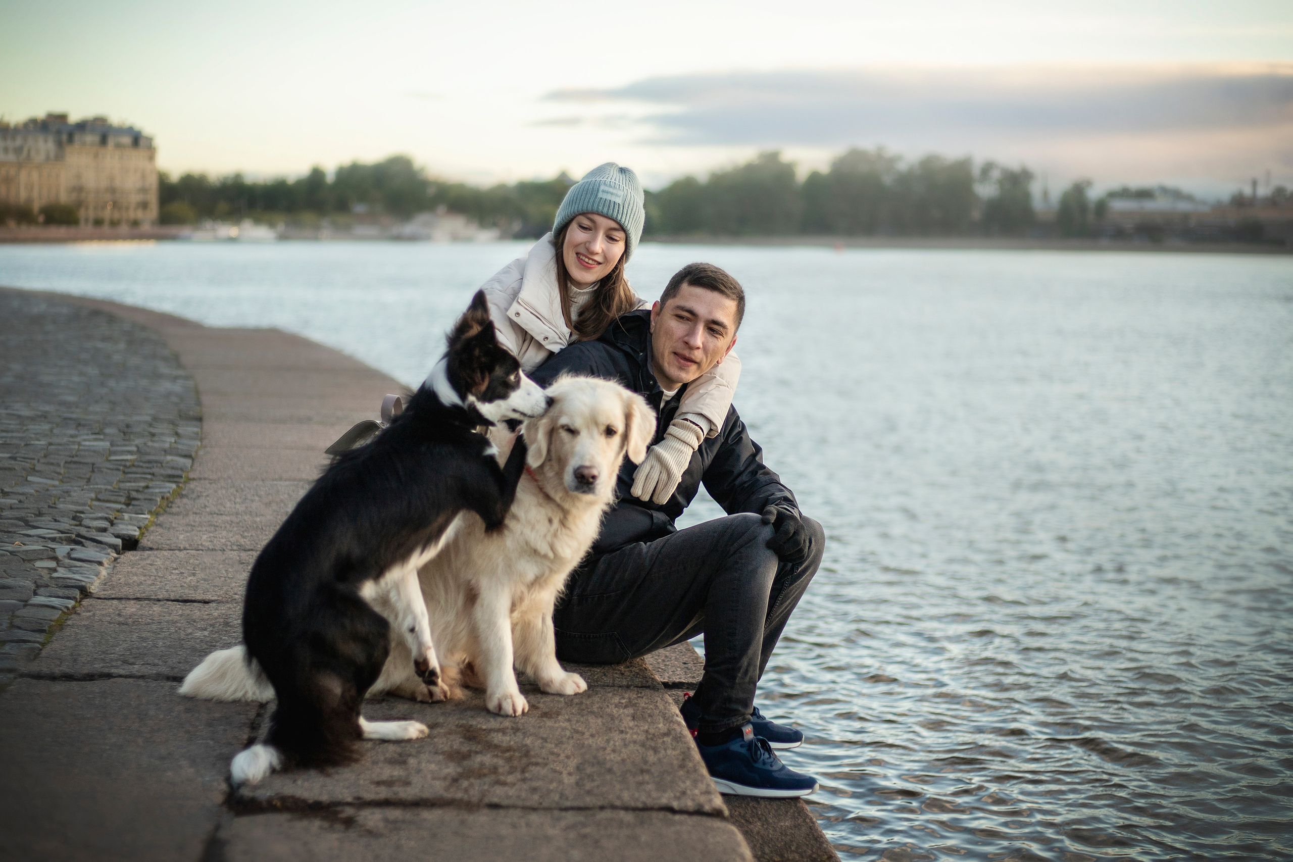 Лана, Тэгра и их семья. Фотограф — Анималист | Санкт-Петербург