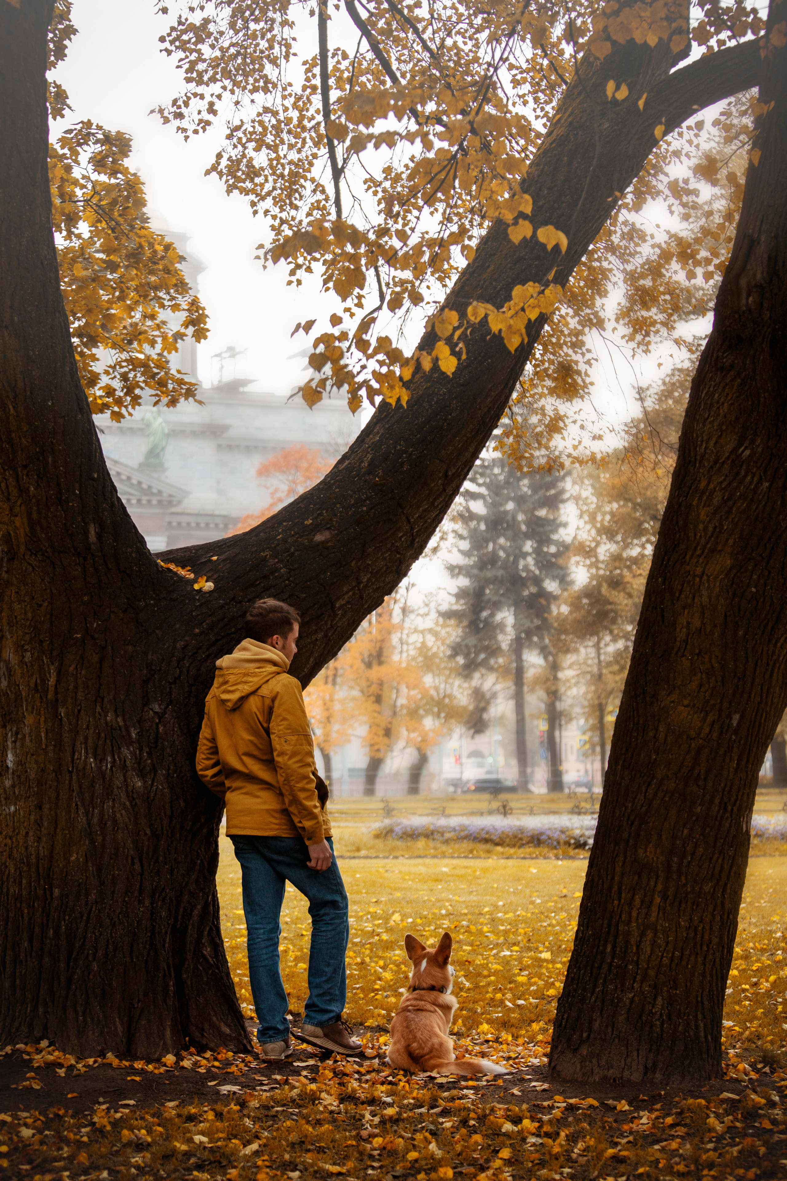 Егор и Никси. Фотограф — Анималист | Санкт-Петербург