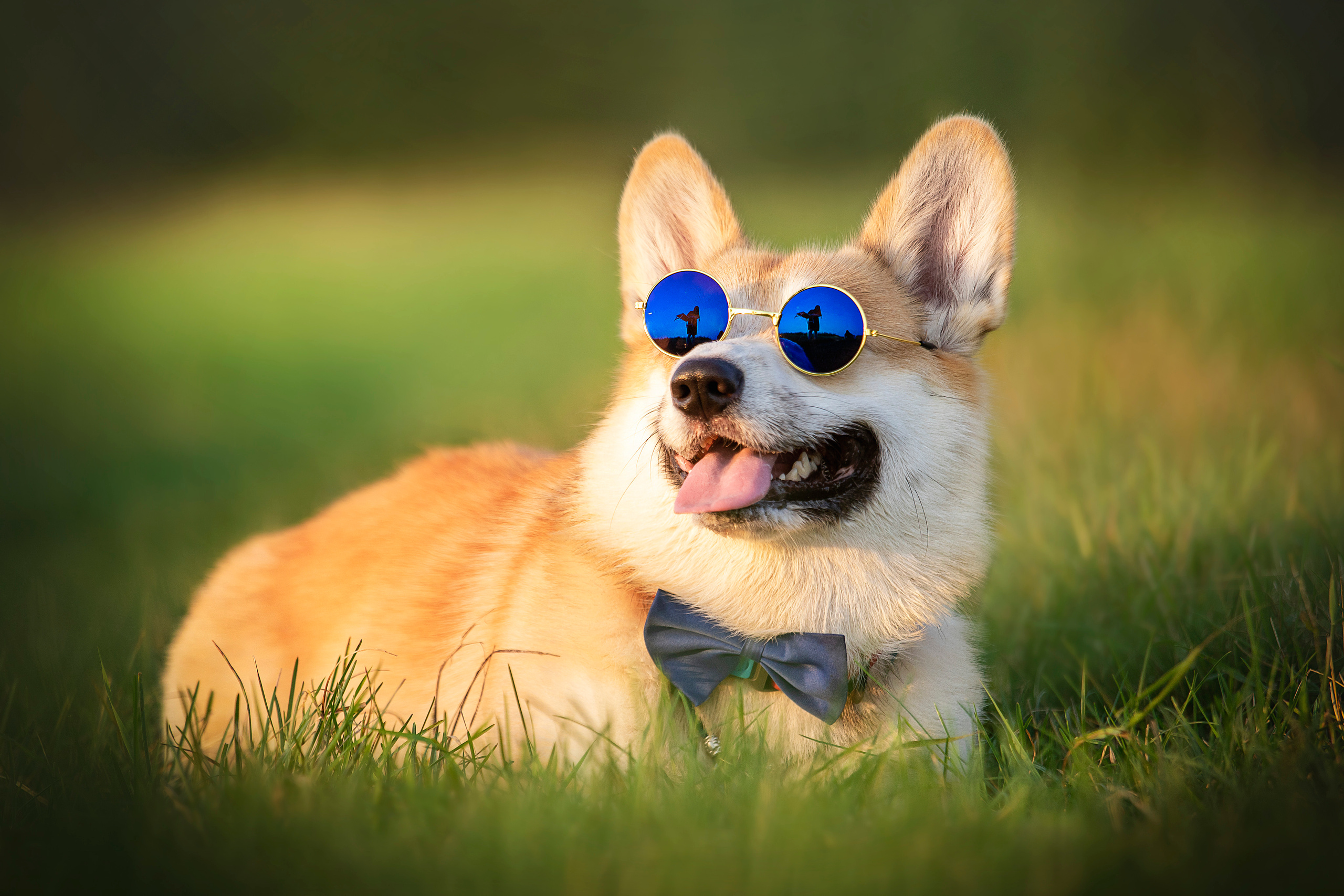 Катя и Азазель. Фотограф — Анималист | Санкт-Петербург