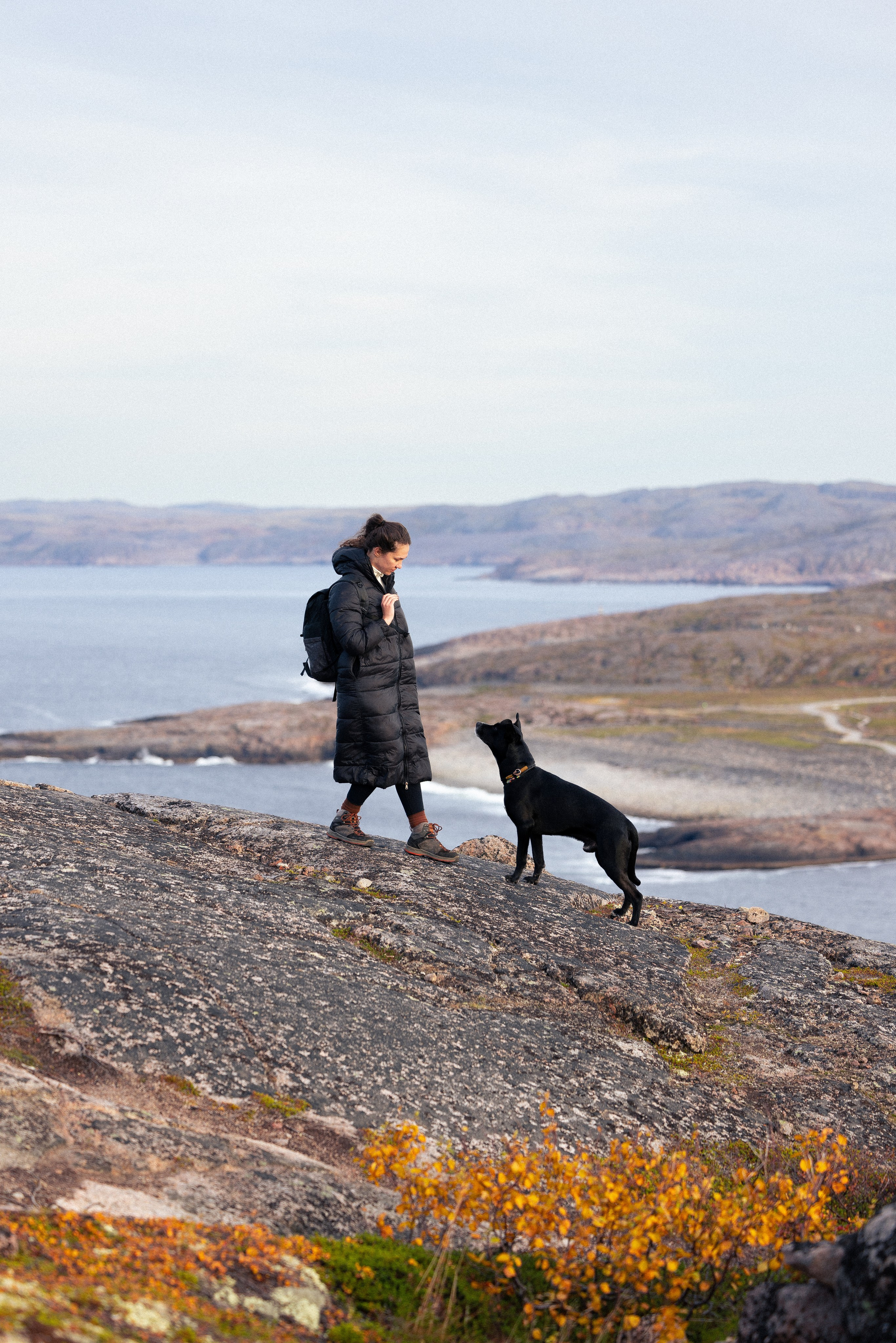 Кольский. Фотограф и видеограф анималист Аганина Дарья