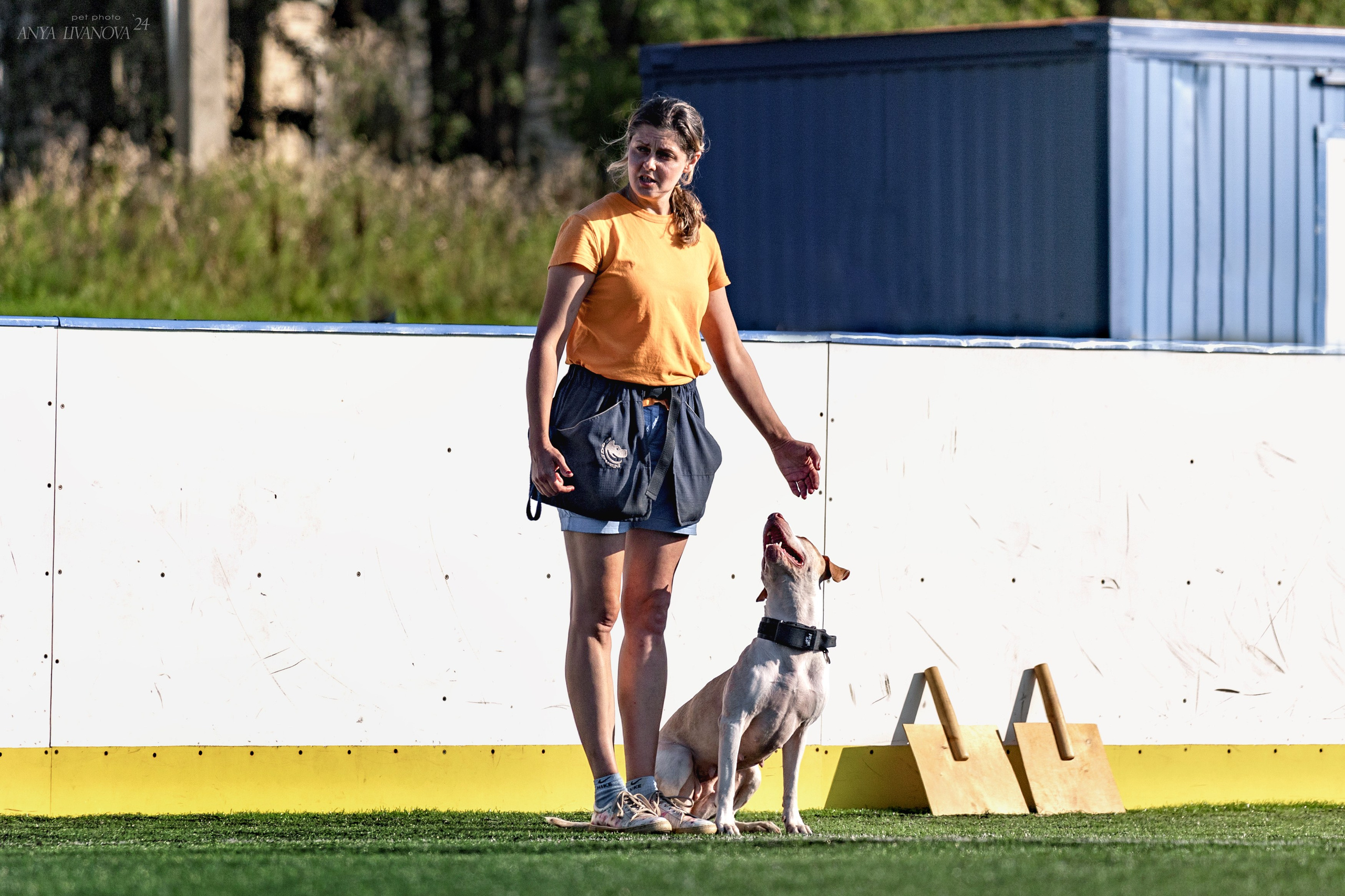 Ралли обидиенс. Фотограф анималист Аня Ливанова | Рыбинск