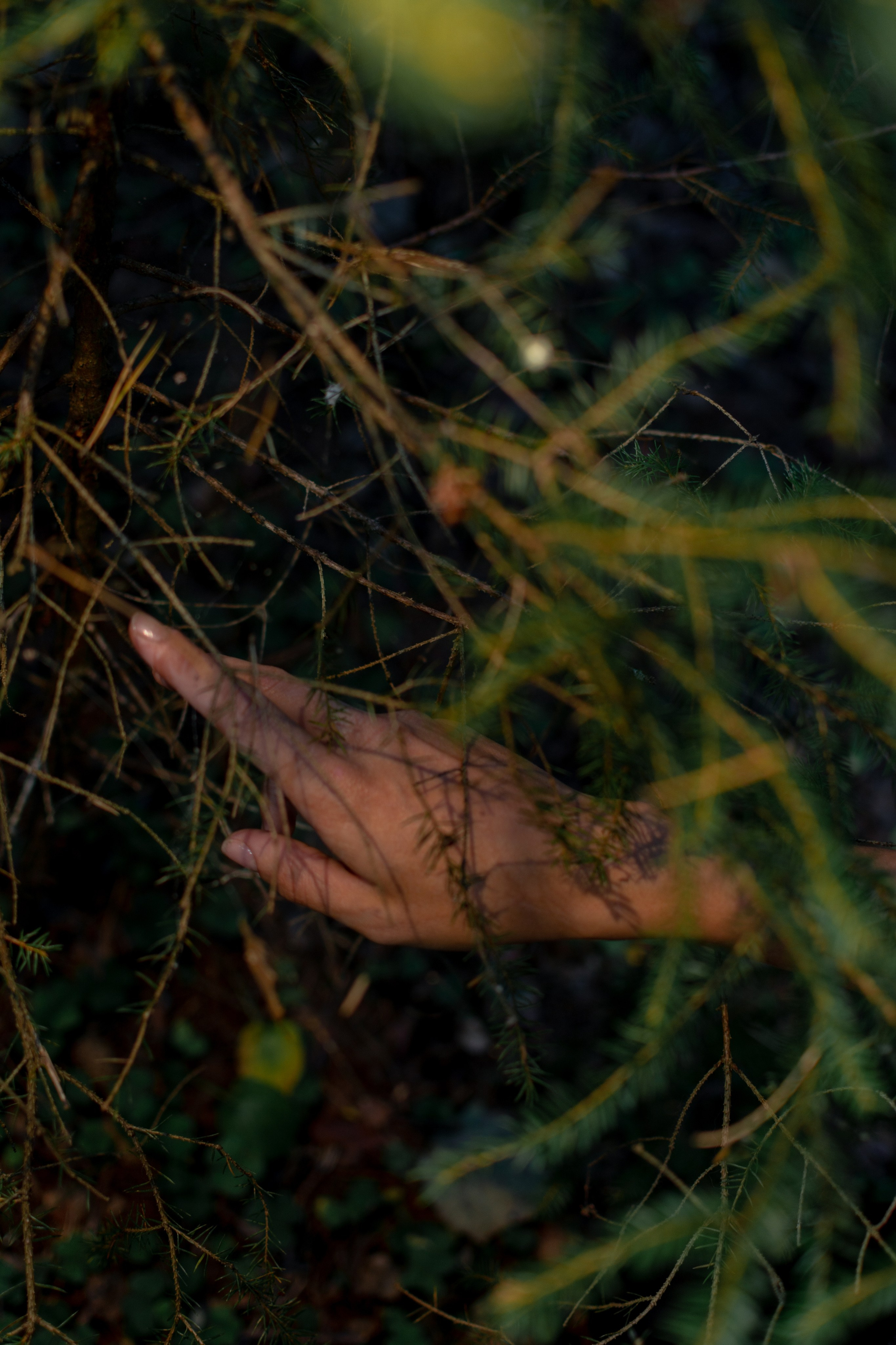 Светлана. Портретный и репортажный Фотограф в Москве Александра Комарницкая