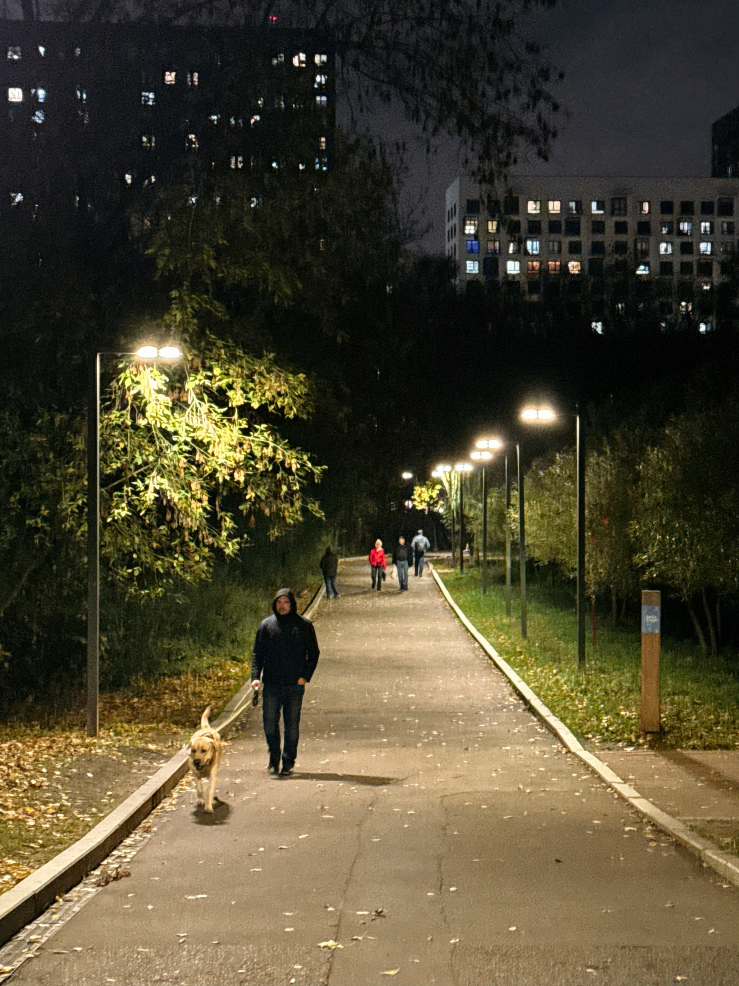 Фотопоток. Проект «Фотокладовка»: блог уличной фотографии в формате street photo