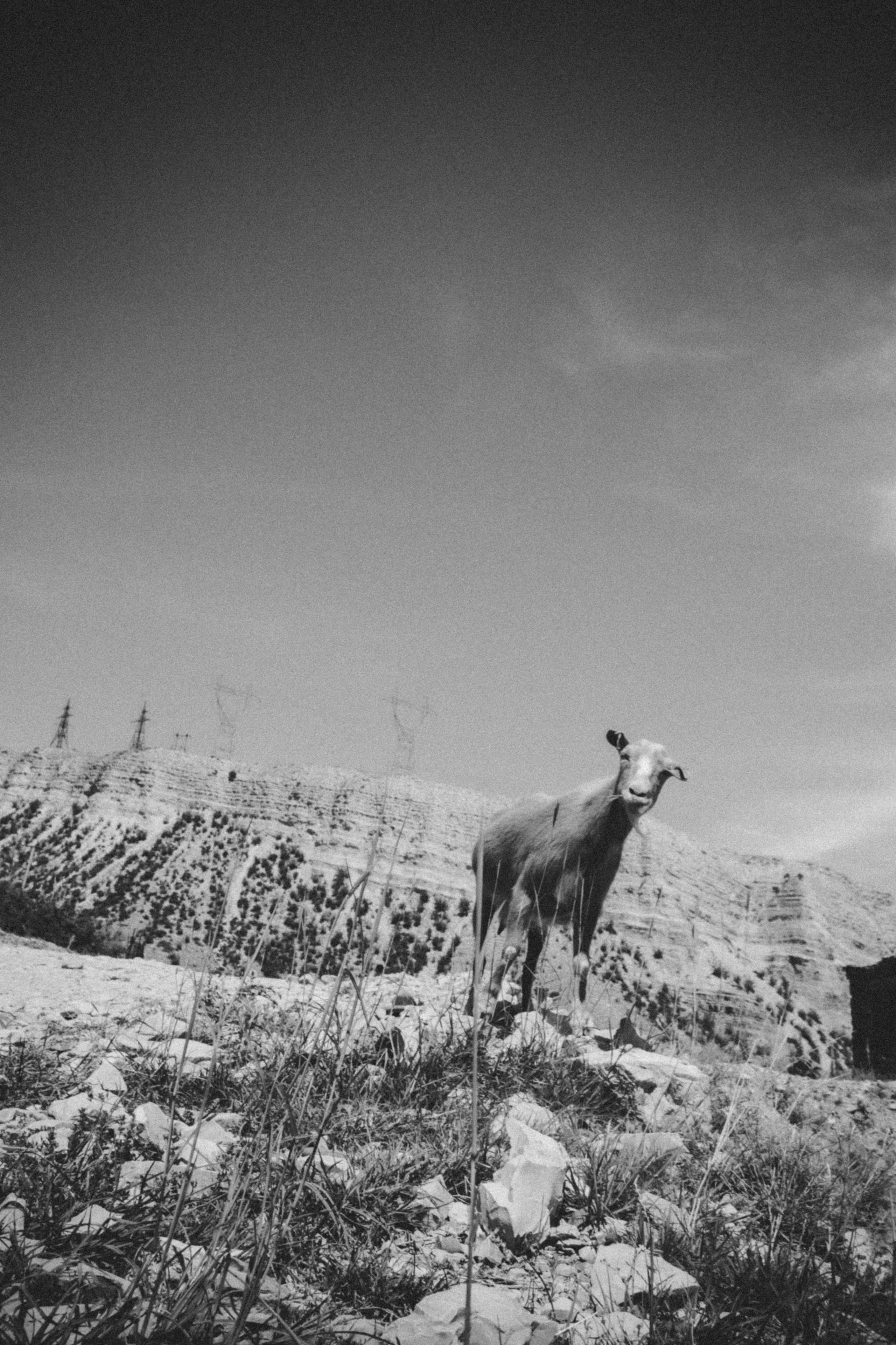 Дагестан. Чечня. 2024. Фотограф в Нижнем Новгороде