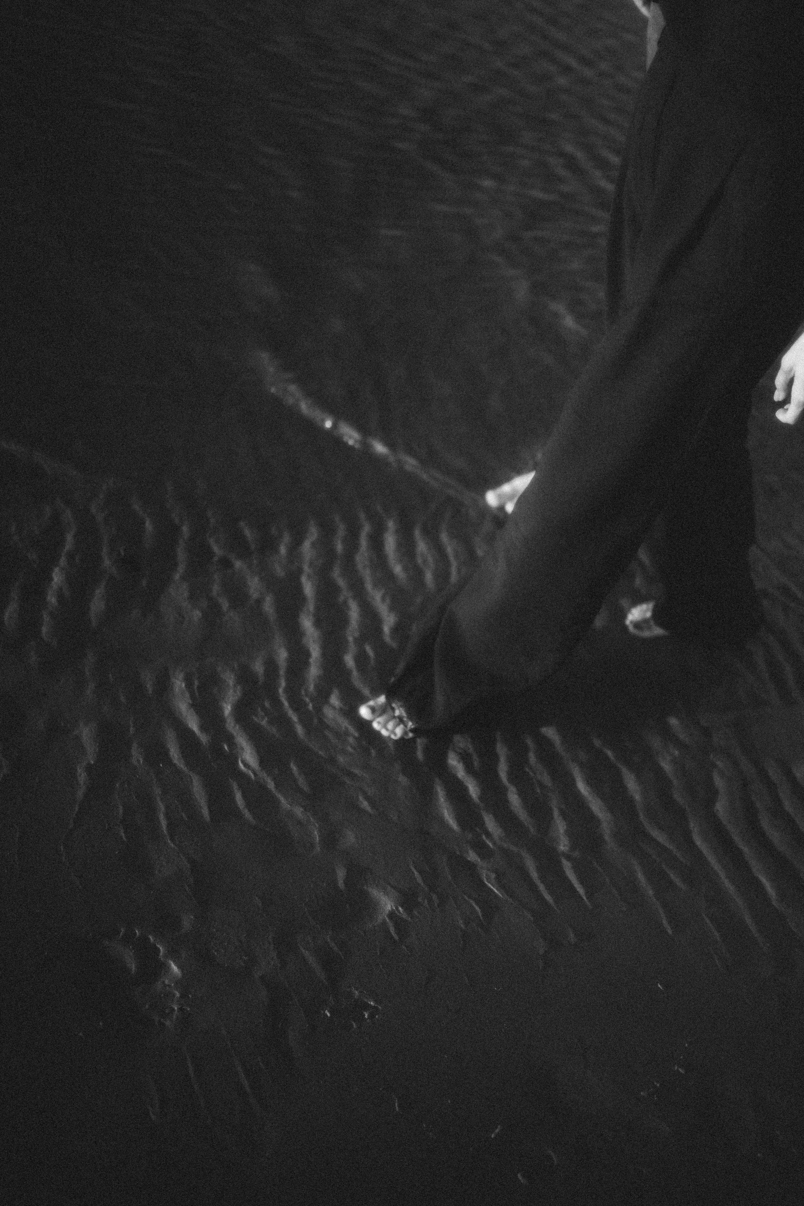 На берегу Финского залива. Фотограф Санкт-Петербург|СПБ|Питер Марина Медведева