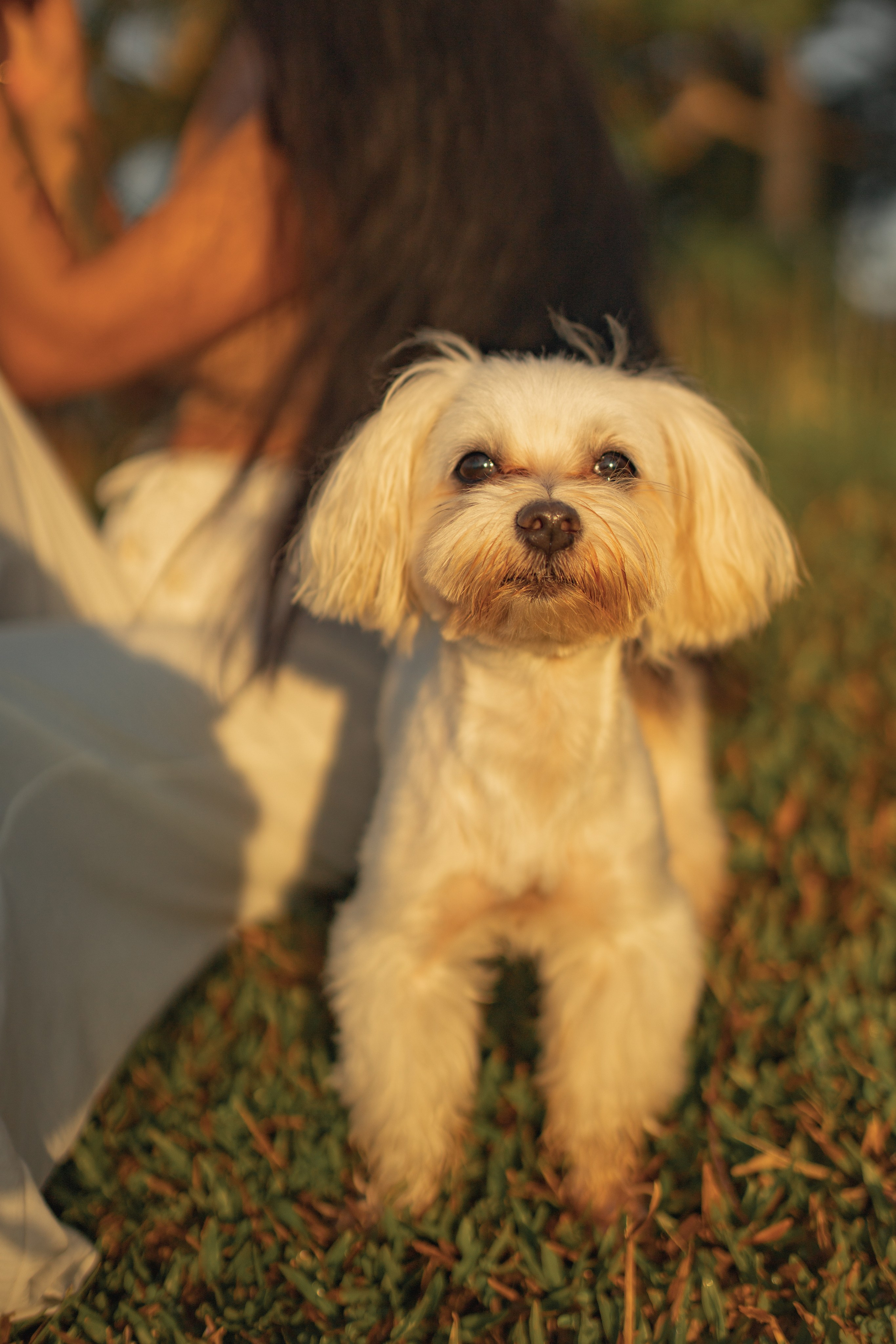 Анастасия и ее Пират.Нячанг. Главная