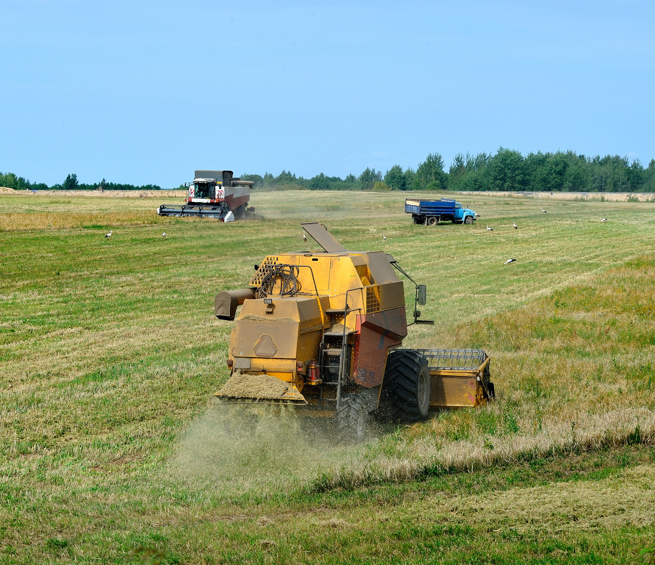 Осень. Пейзажный и предметный фотограф в Санкт-Петербурге Александр Богданов