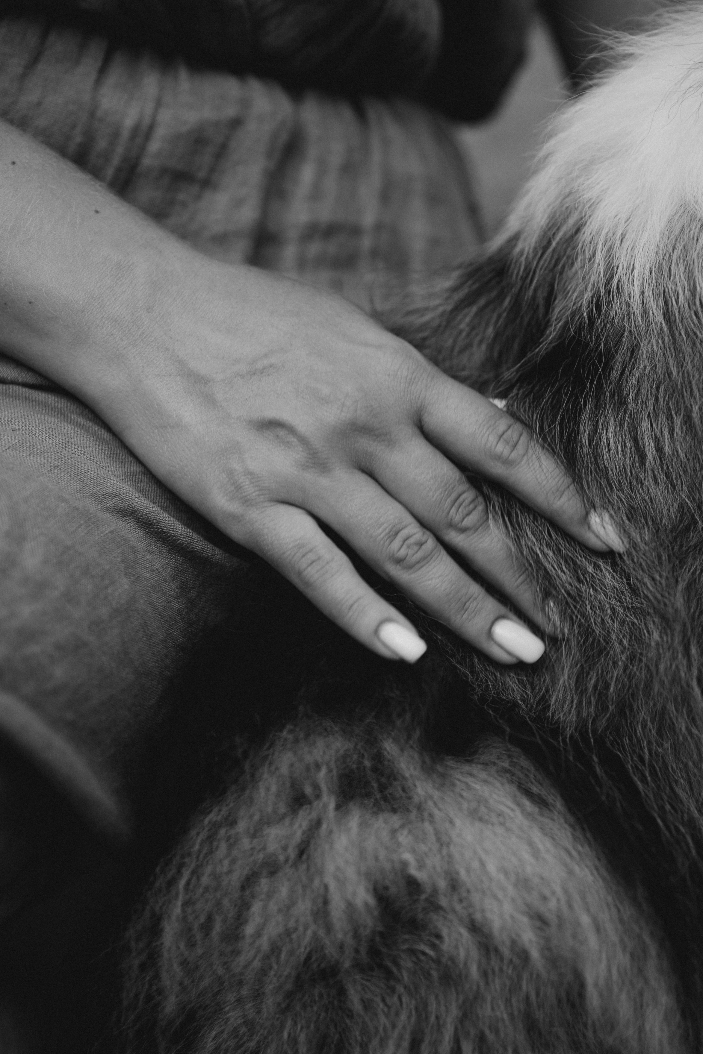 Яна и Холли. Мария Кобзева, фотограф в Ялте, Крым