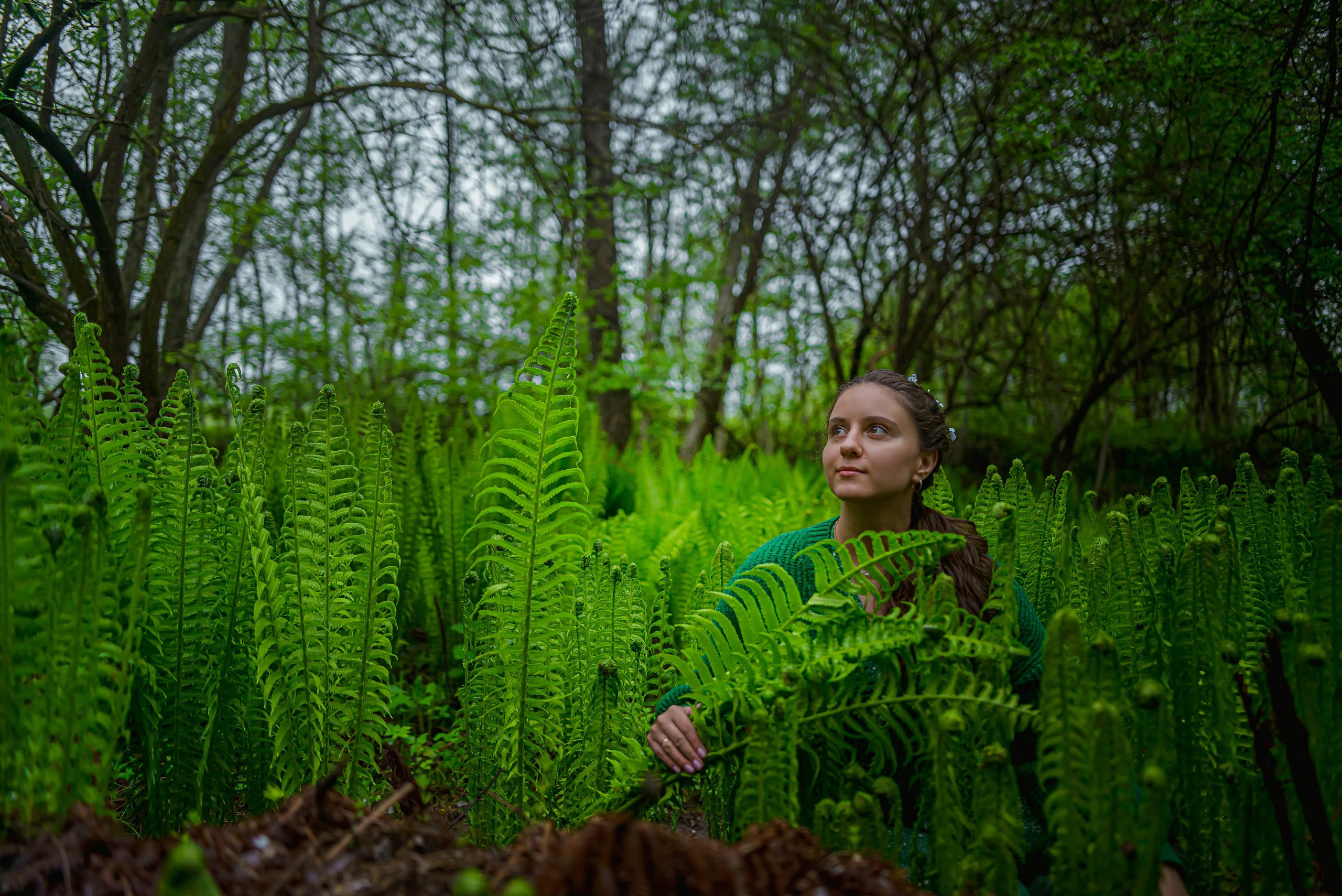 В царстве папоротников. Арт-фотограф Евгений Матвиенко