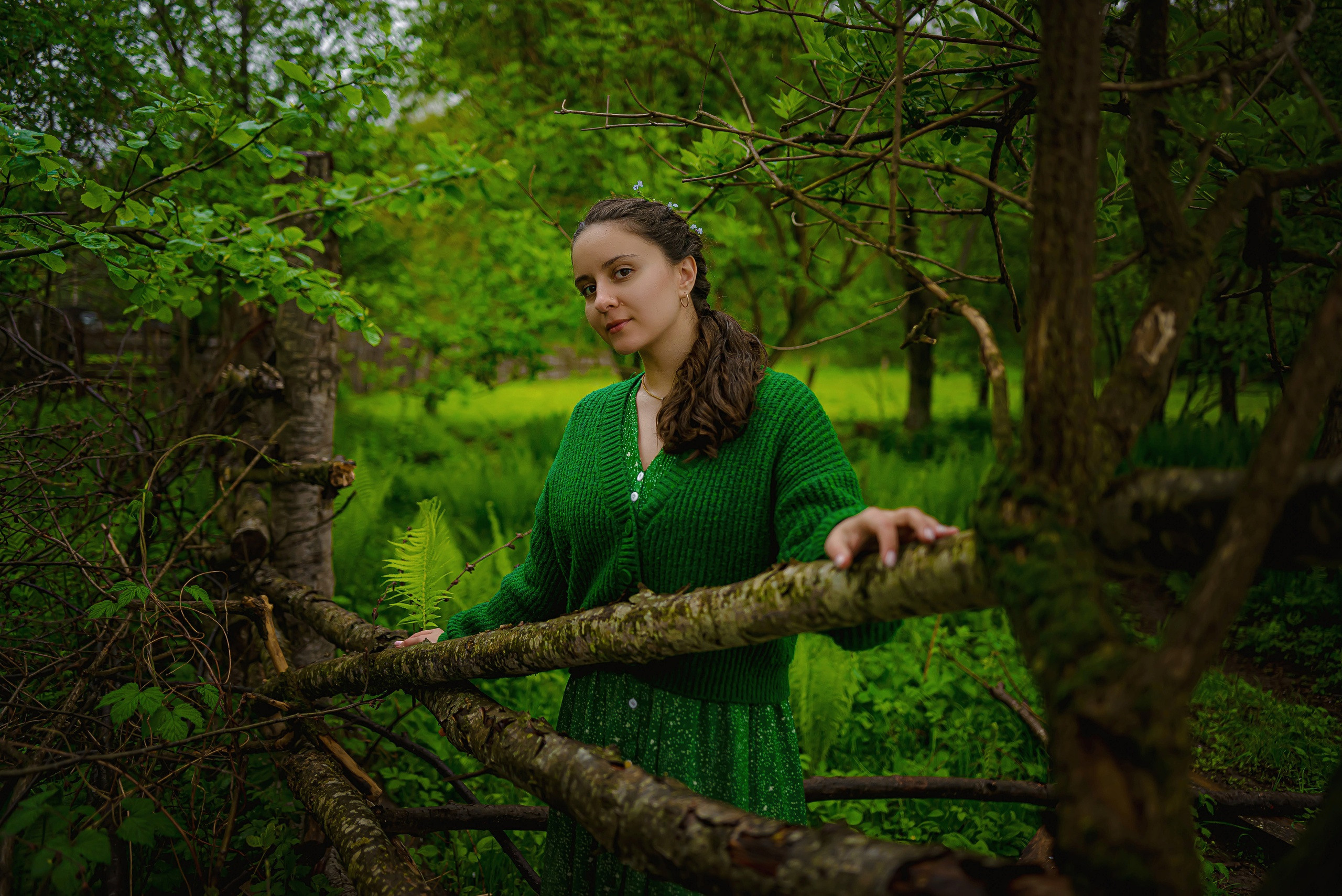 В царстве папоротников. Арт-фотограф Евгений Матвиенко