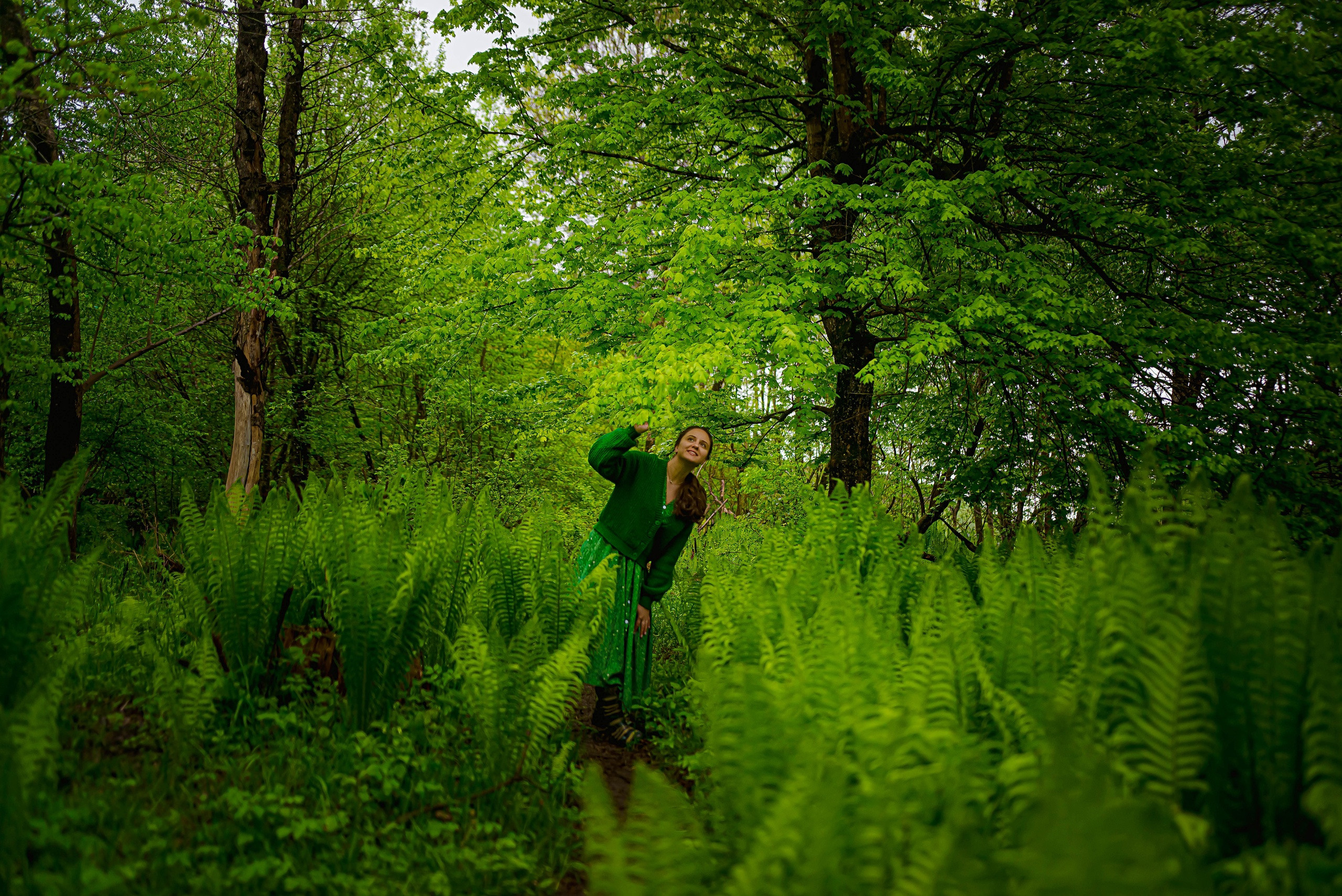 В царстве папоротников. Арт-фотограф Евгений Матвиенко