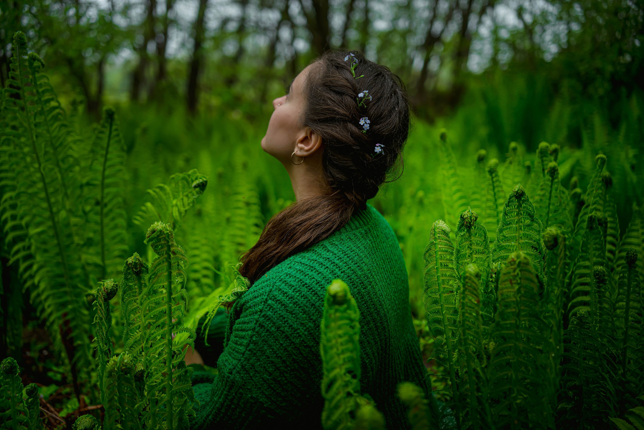 В царстве папоротников. Арт-фотограф Евгений Матвиенко
