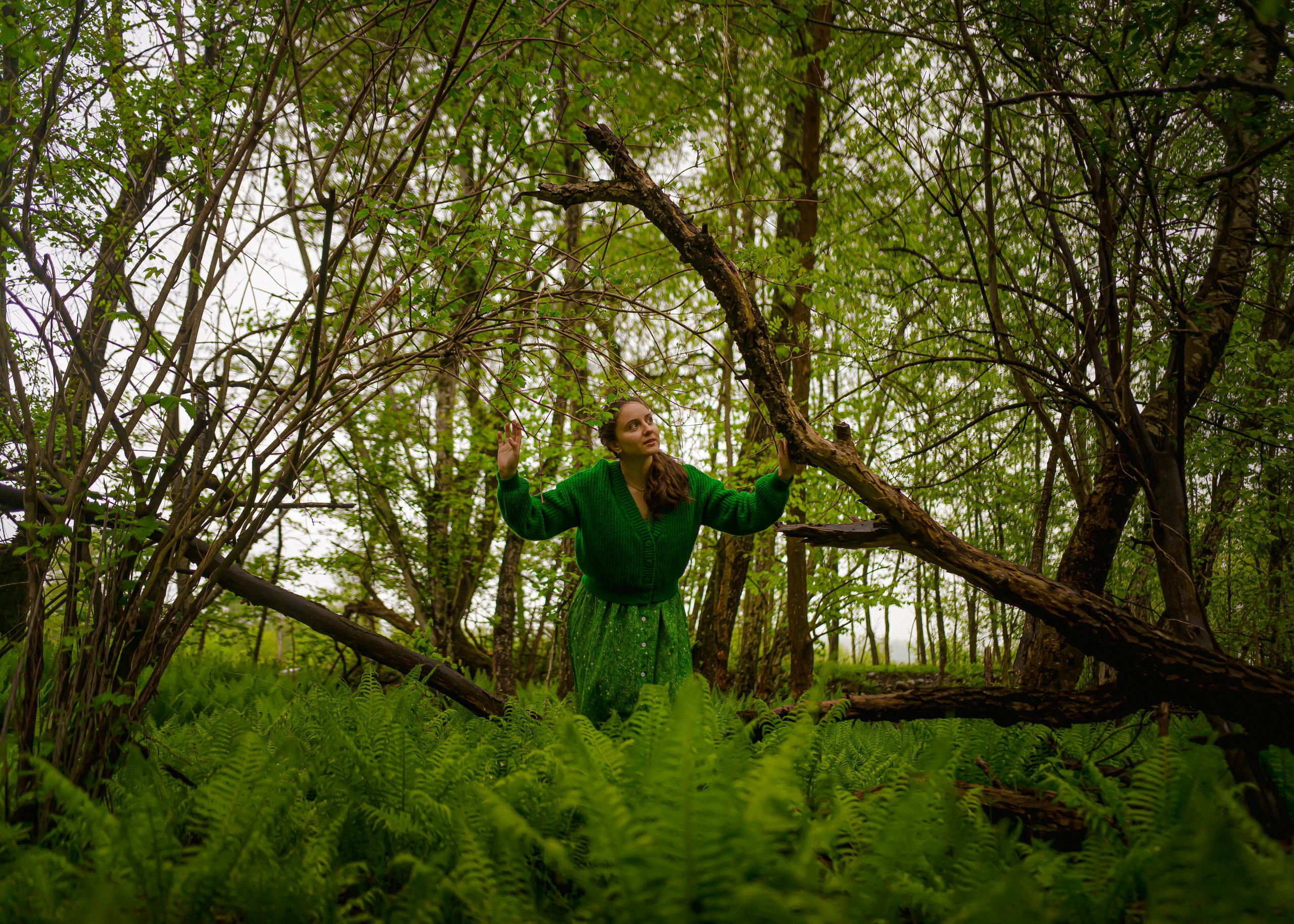 В царстве папоротников. Арт-фотограф Евгений Матвиенко