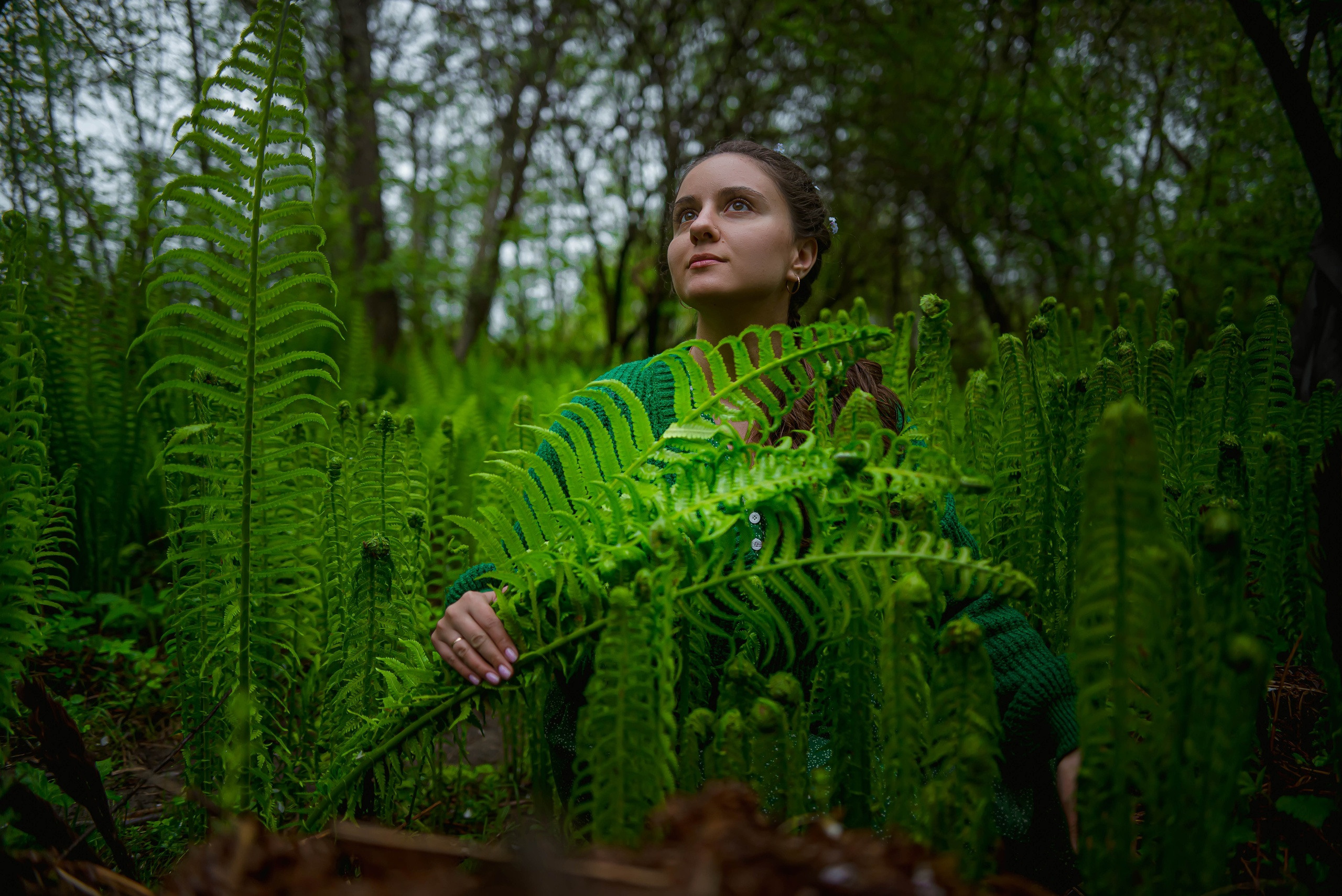 В царстве папоротников. Арт-фотограф Евгений Матвиенко