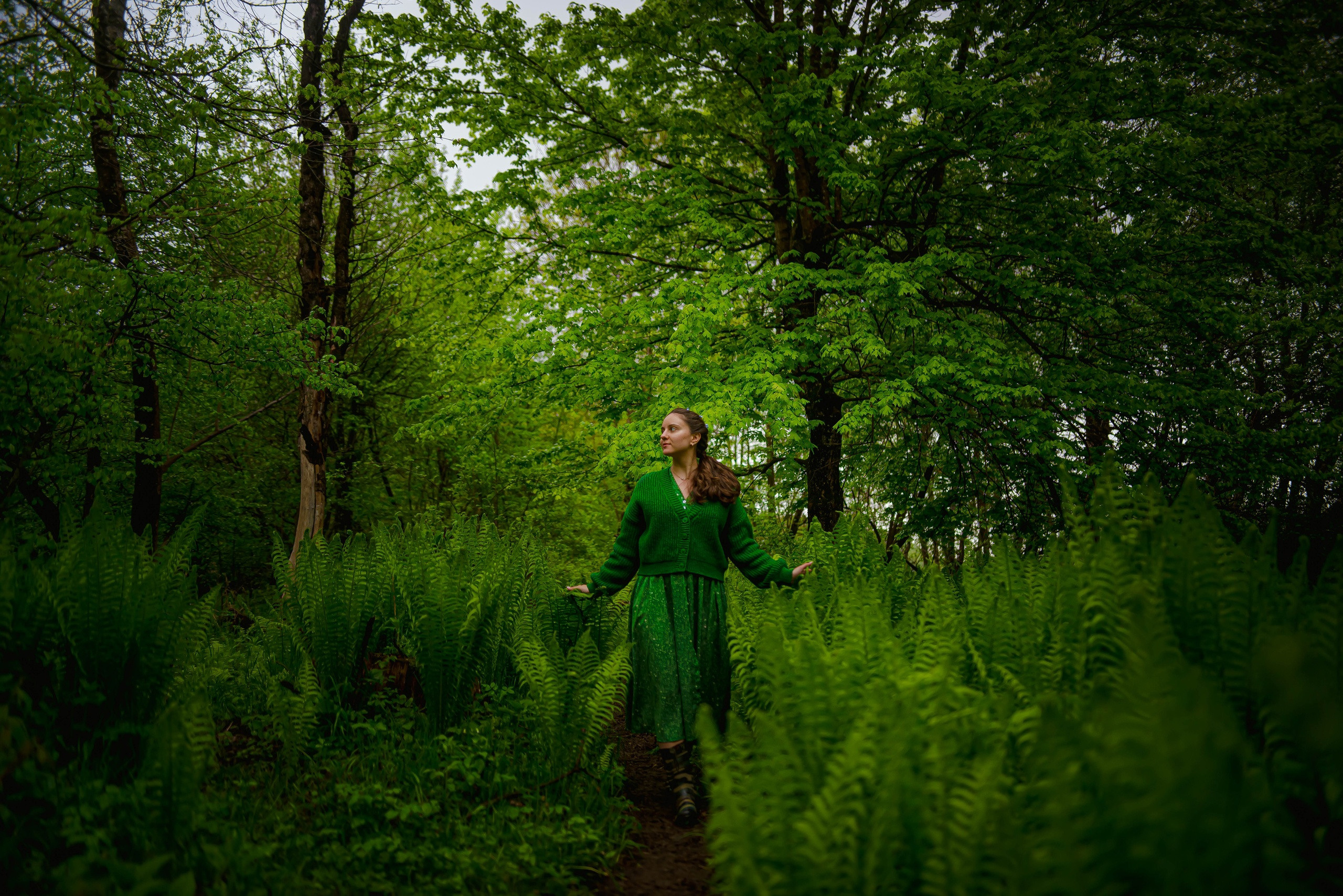 В царстве папоротников. Арт-фотограф Евгений Матвиенко