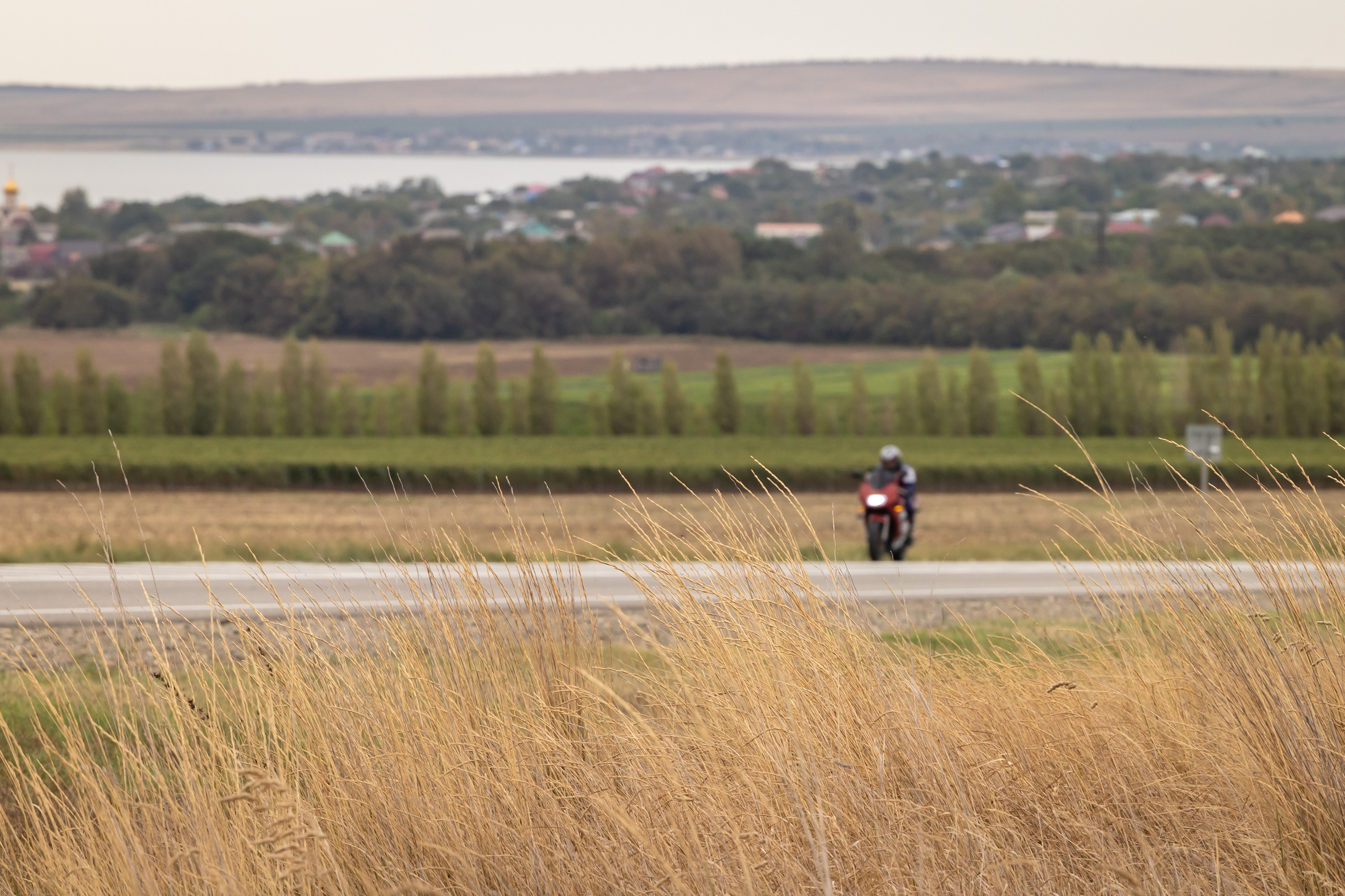 Южное Сафари в Тамани. Сентябрь 2024. Фотограф Владимир Охрименко