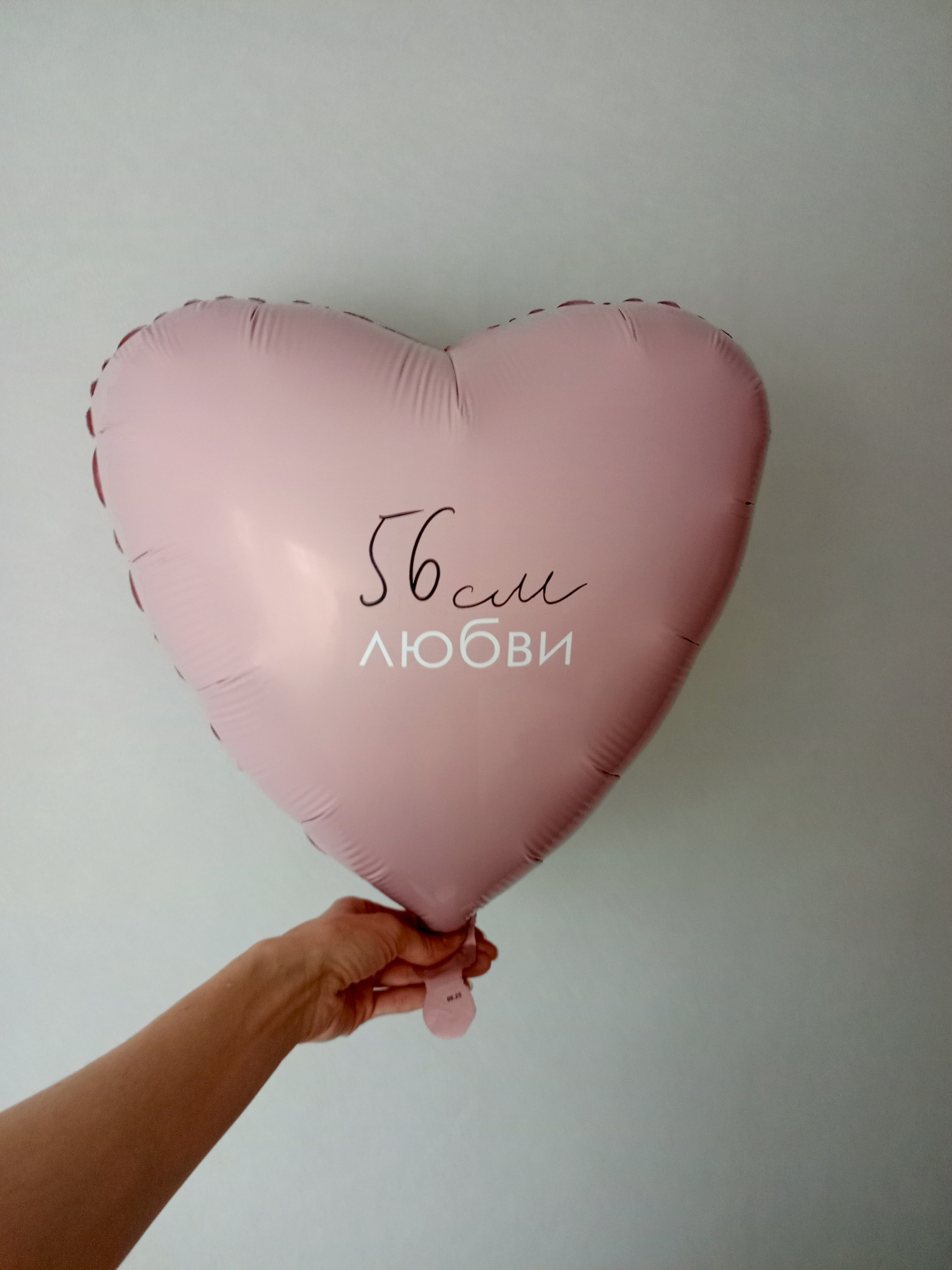 Выписка. Аэродизайнер Елена Лин