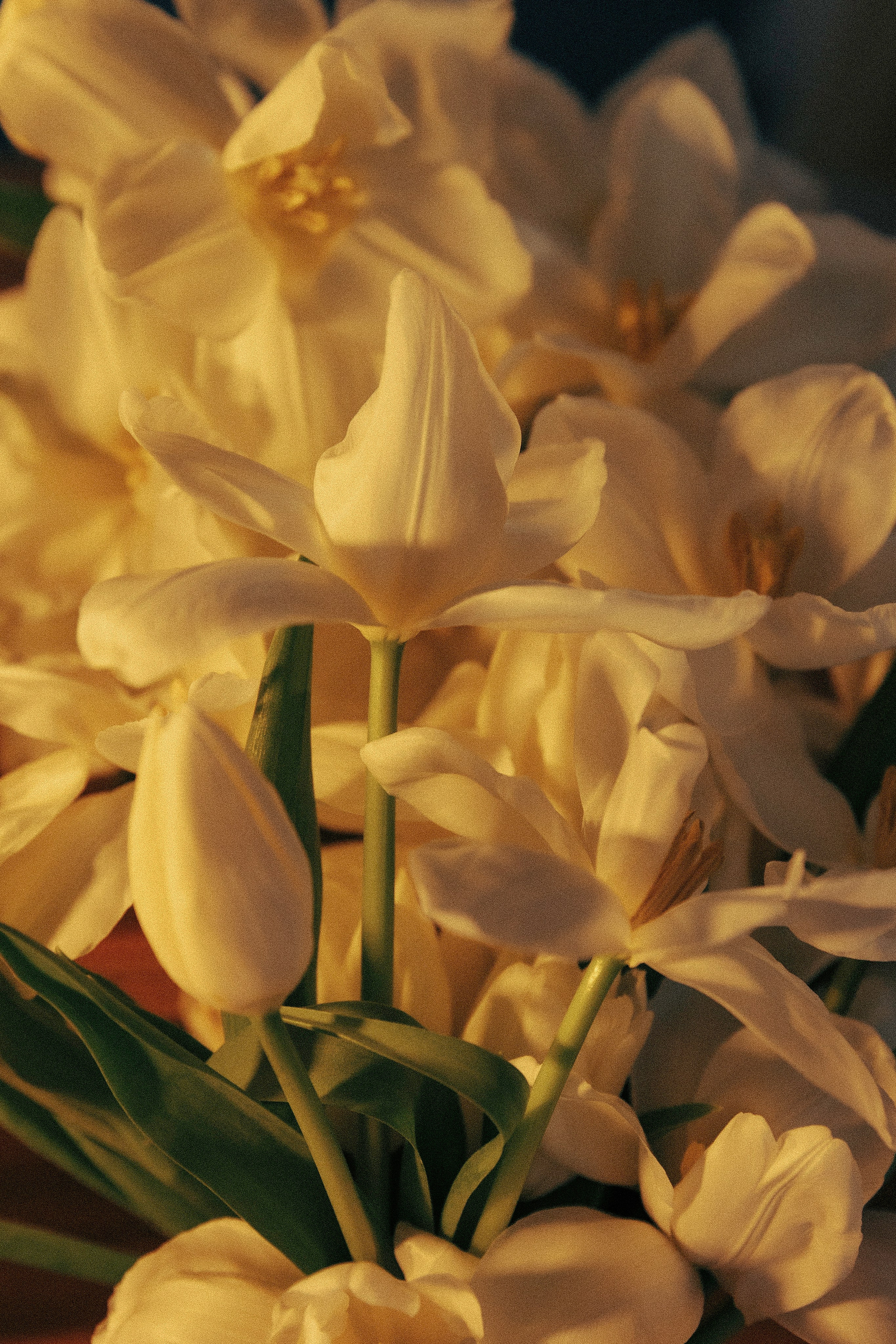 Александр и Анна