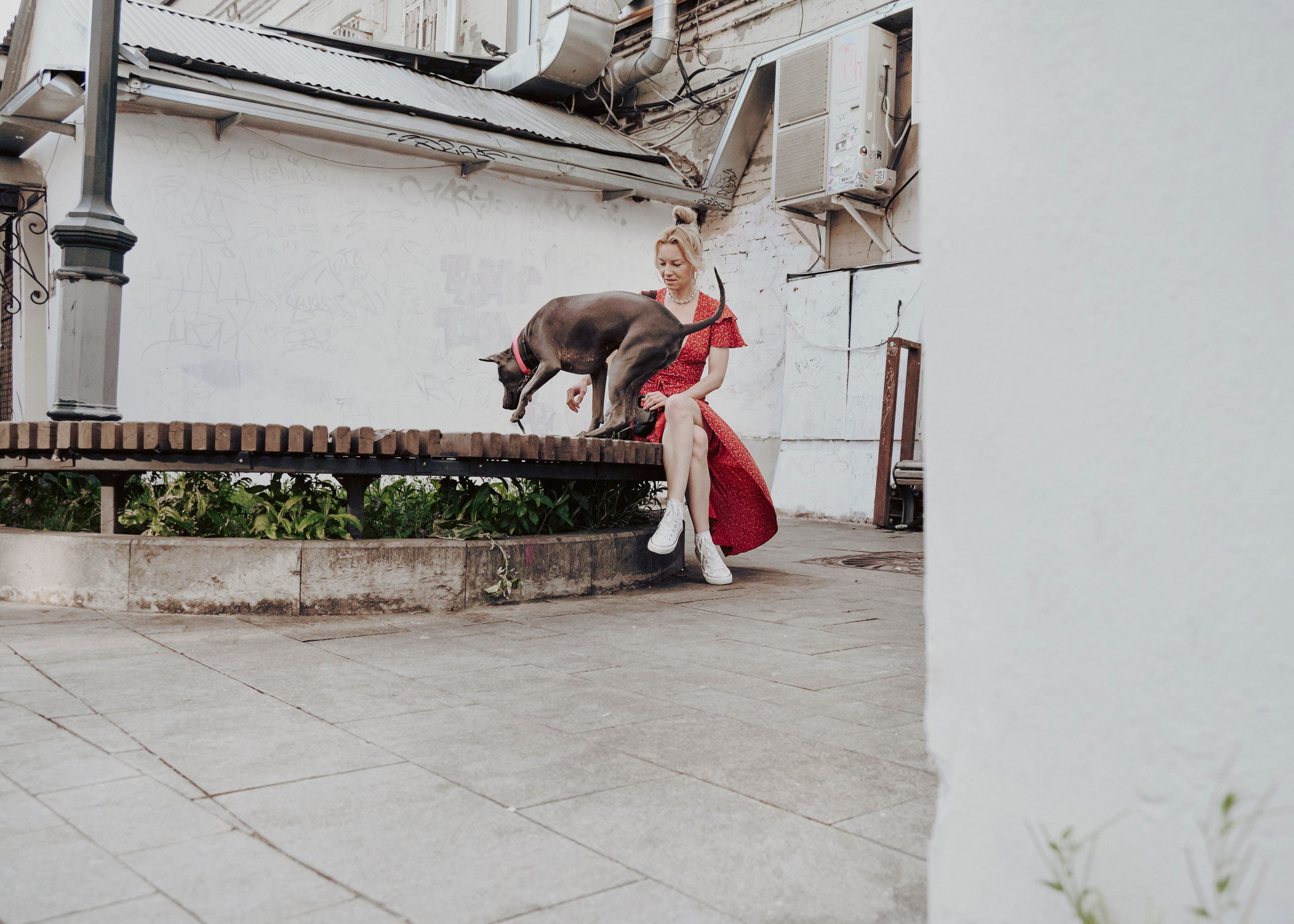 Шарма. Фотограф- анималист Александра Матвеева