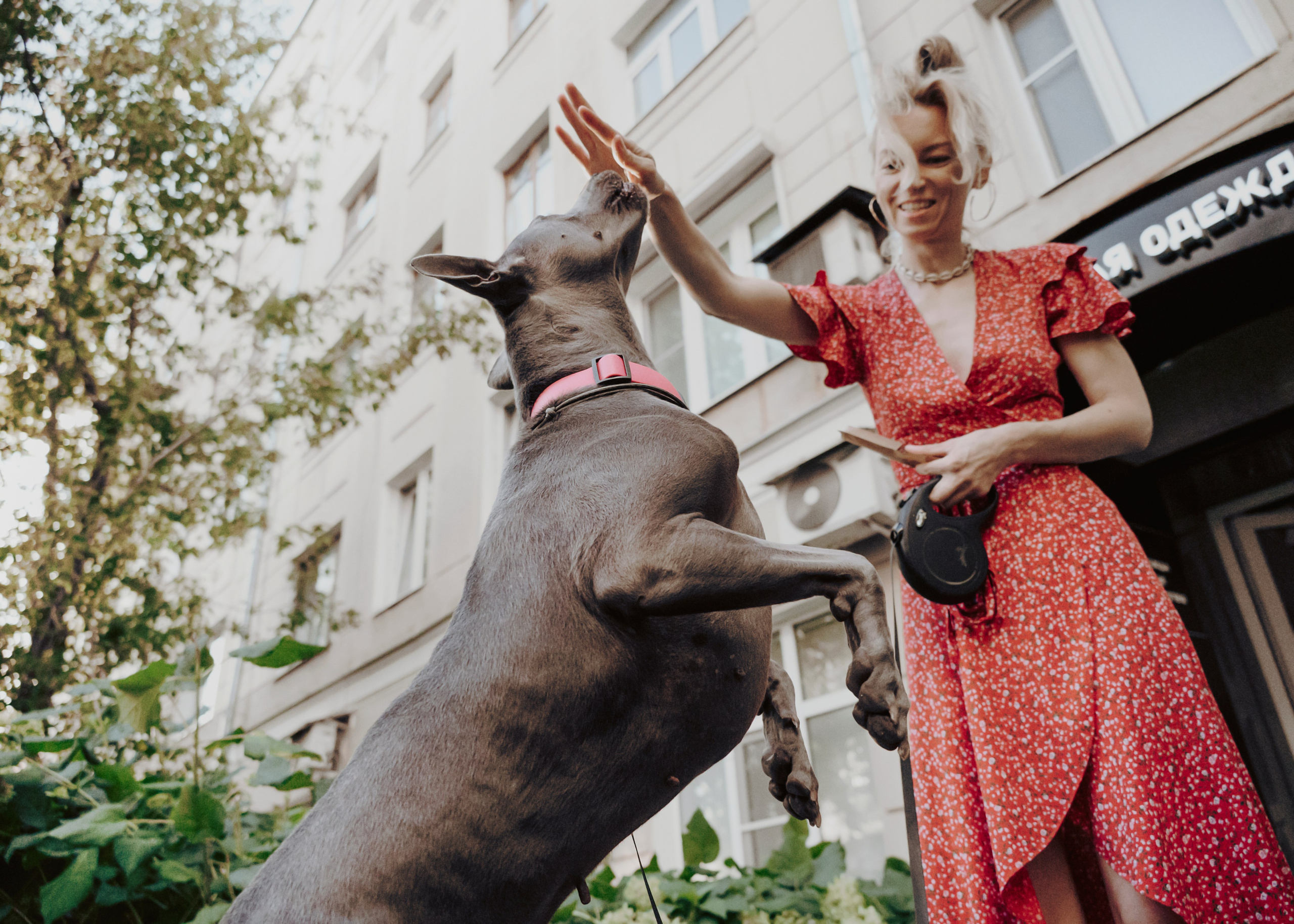 Шарма. Фотограф- анималист Александра Матвеева