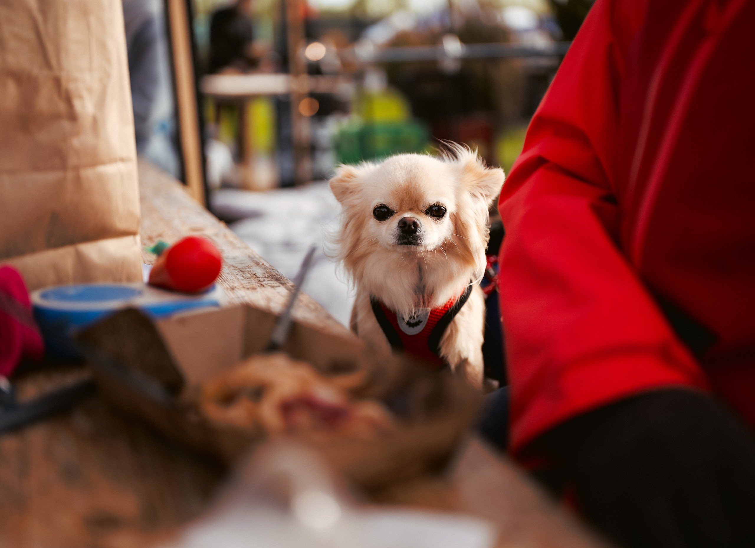 Фотограф фестиваля «Фиштиваль»