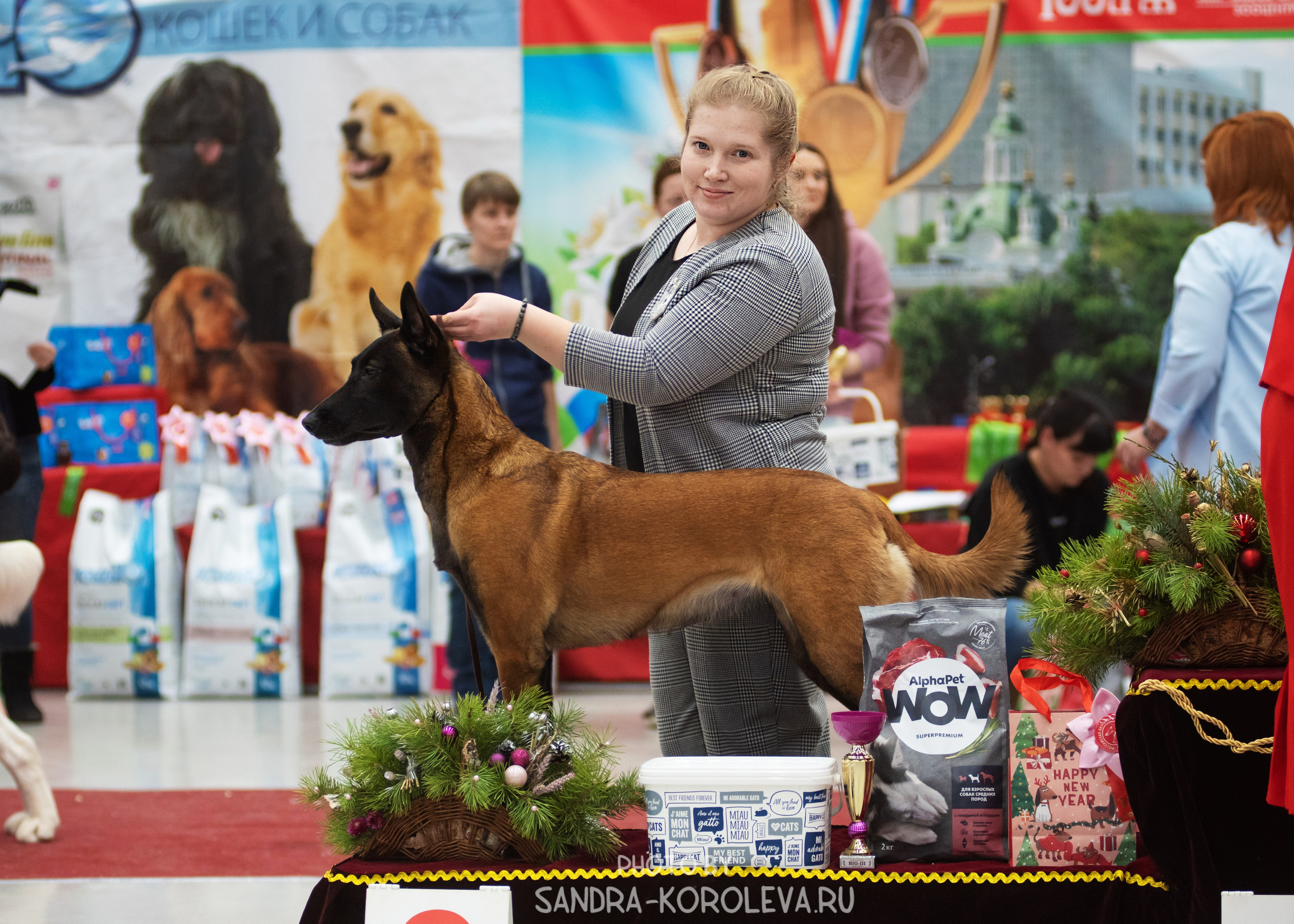 Выставка собак тюмень 10.12.2022. Дог-фотограф в Тюмени Александра Королева