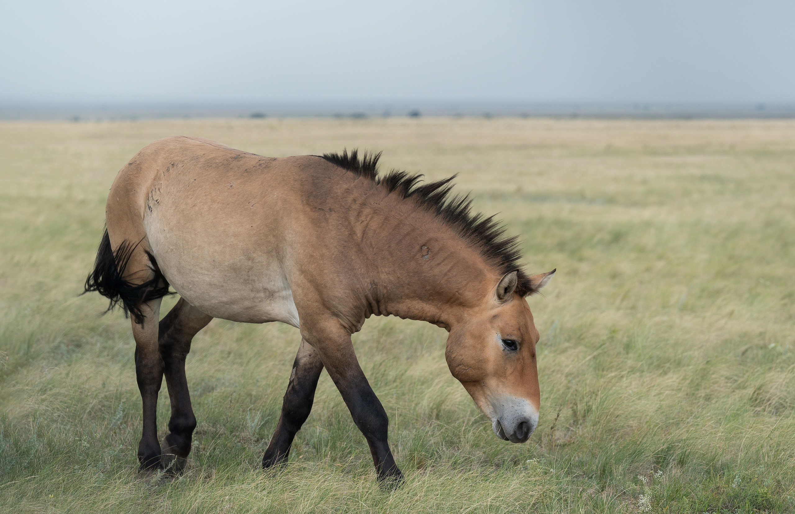 В природе. Портретный фотограф в Челябинске Катерина Руди