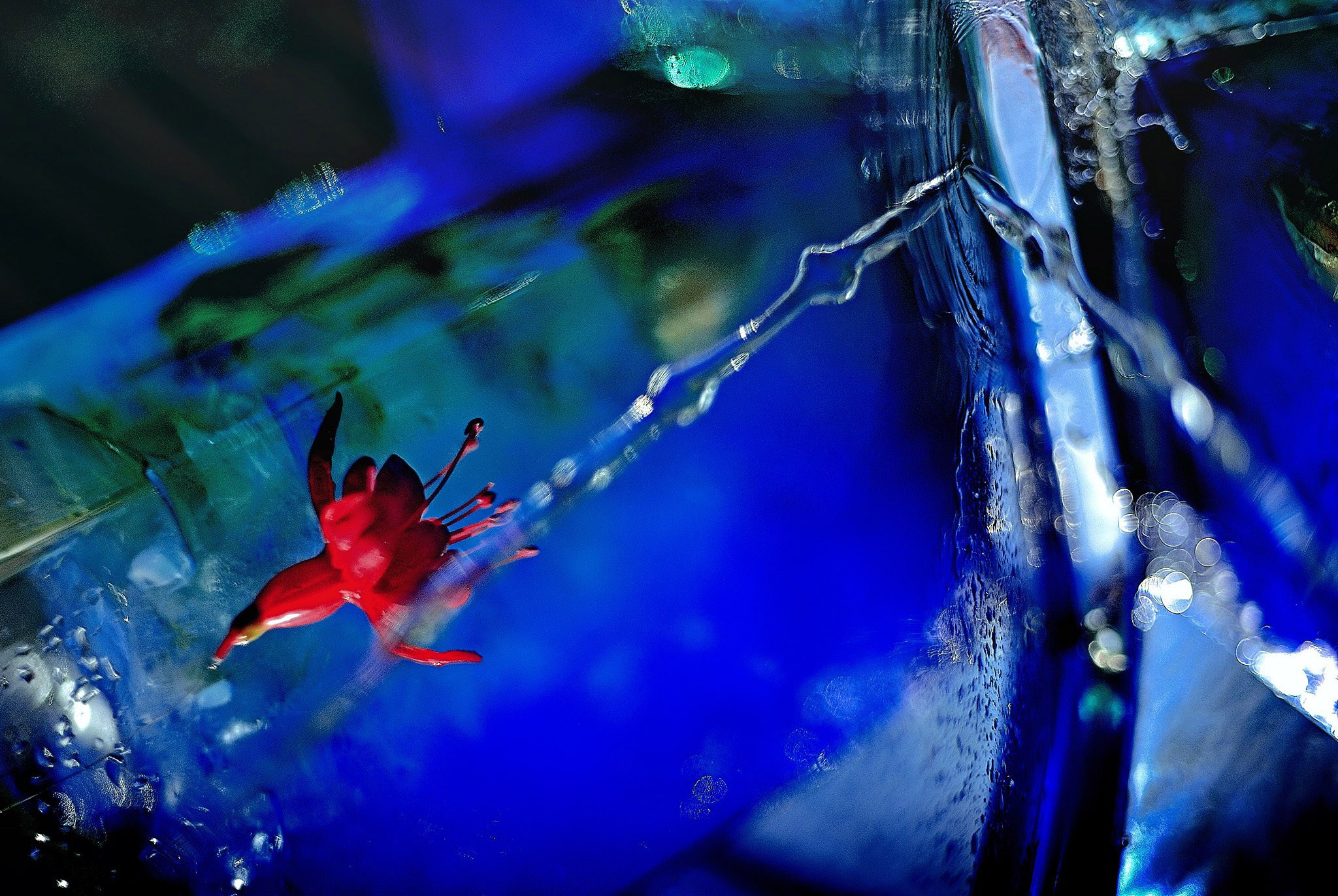 FINE ART. Denisgeorgievski