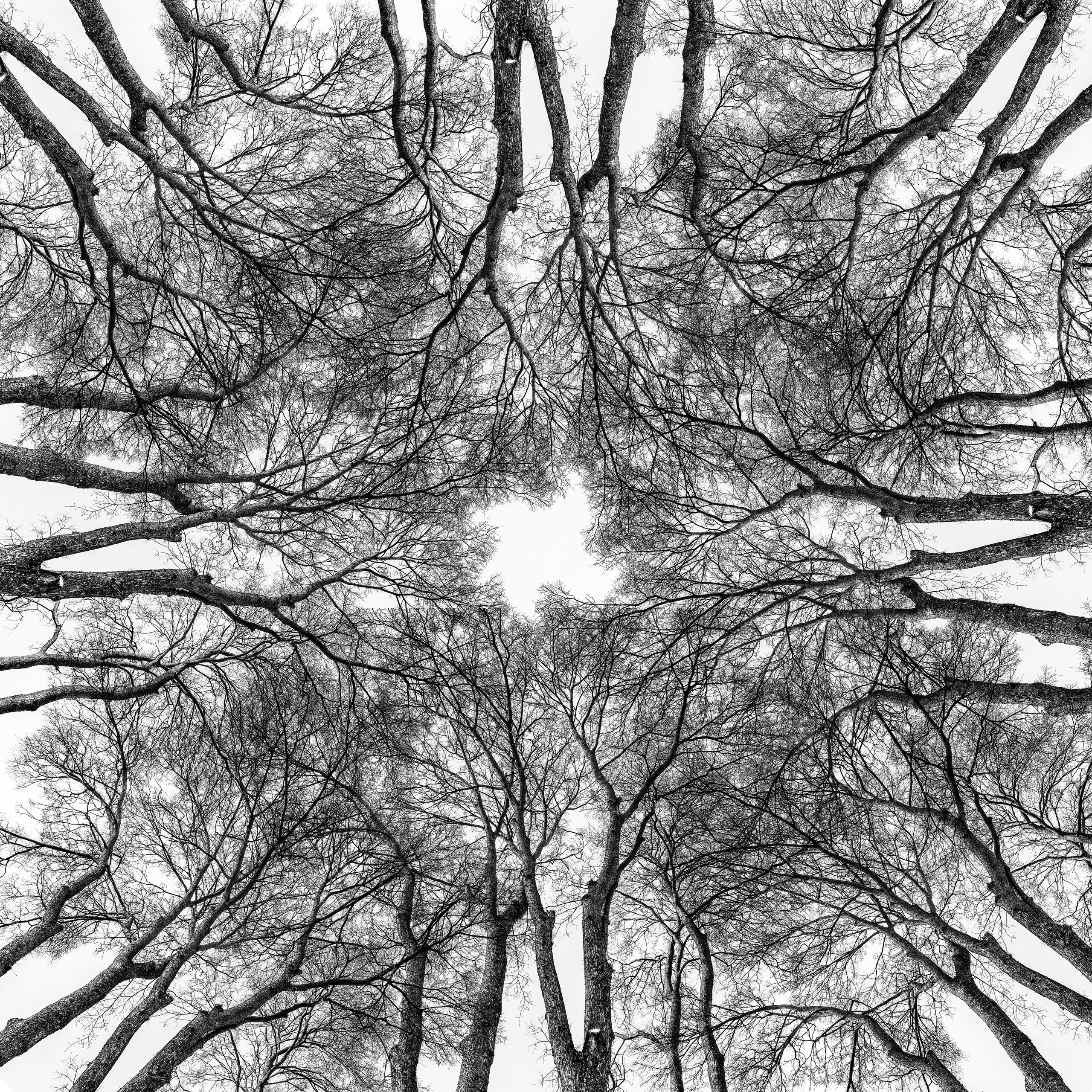 Хокку 2024. Яна Каменская