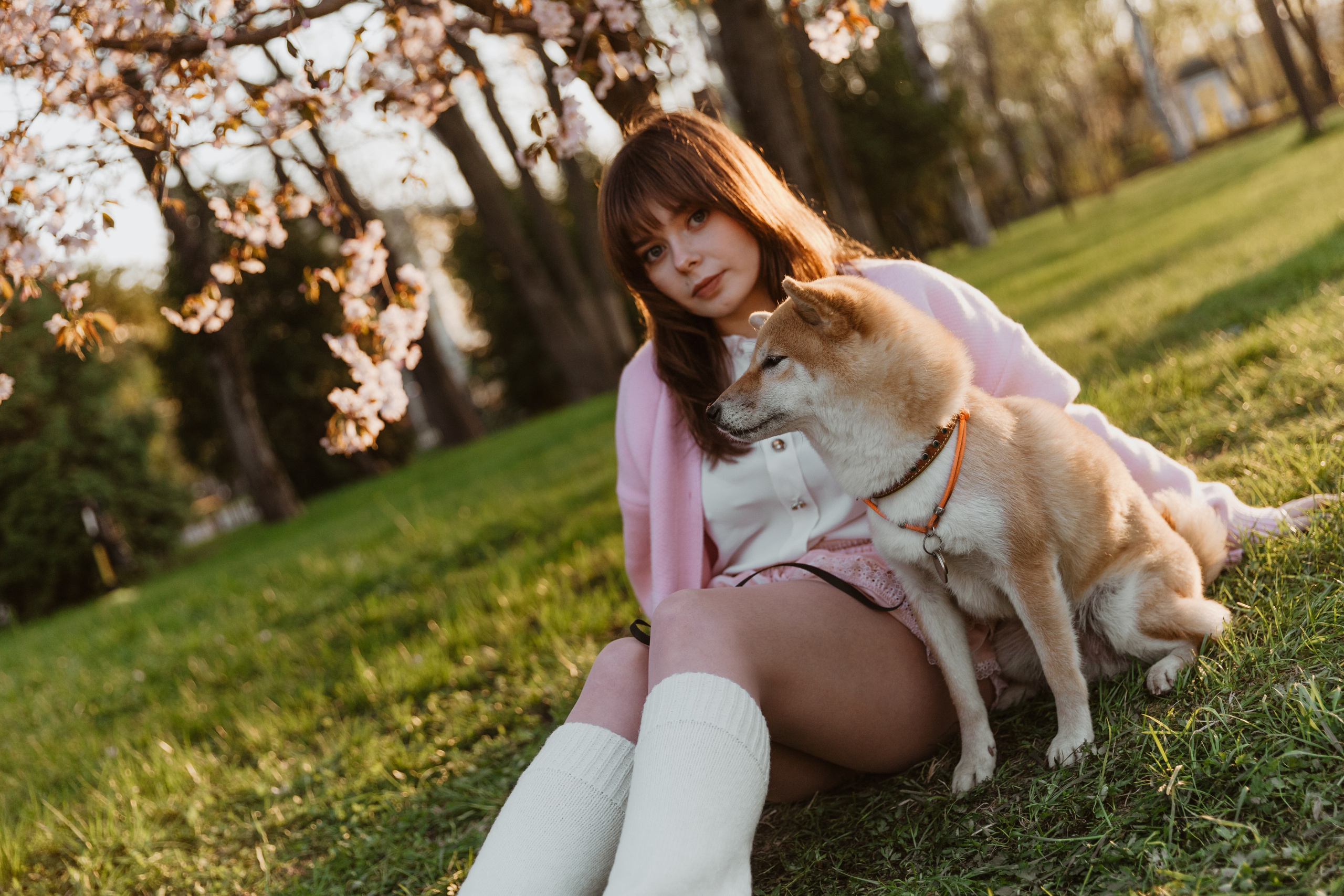 Анастасия и Тайра. Фотограф Южно-Сахалинск Сахалин Анастасия Тучина