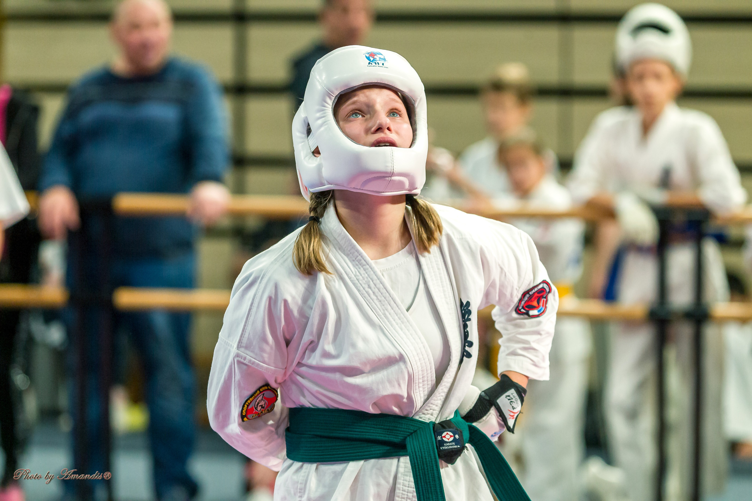 Первенство Московской области по Киокушин в СК «Жаворонки». Репортажная съемка в Москве и области. Анималистика