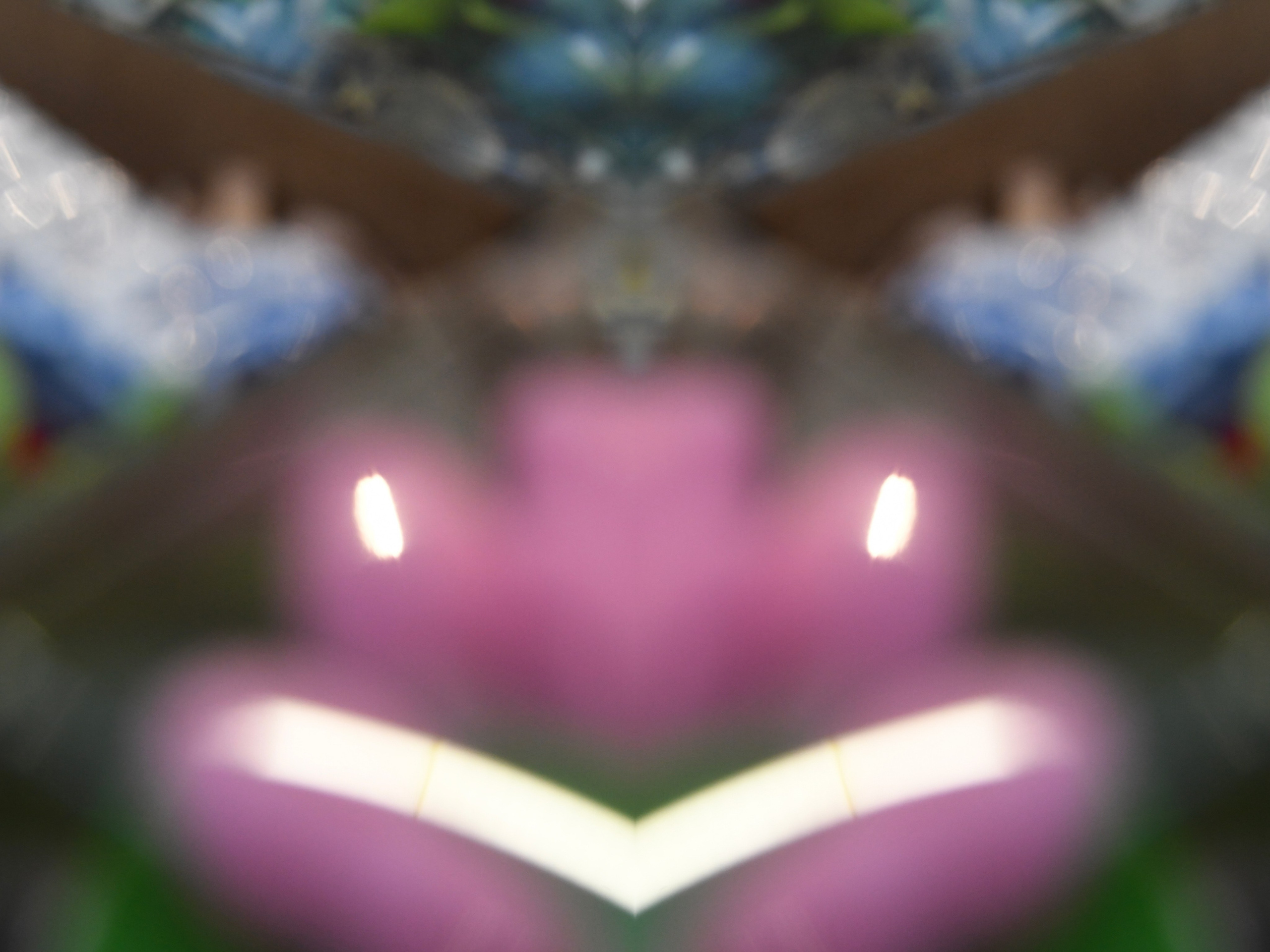 Urban flowers. Арт — фотограф Евгений Наймушин Новокузнецк