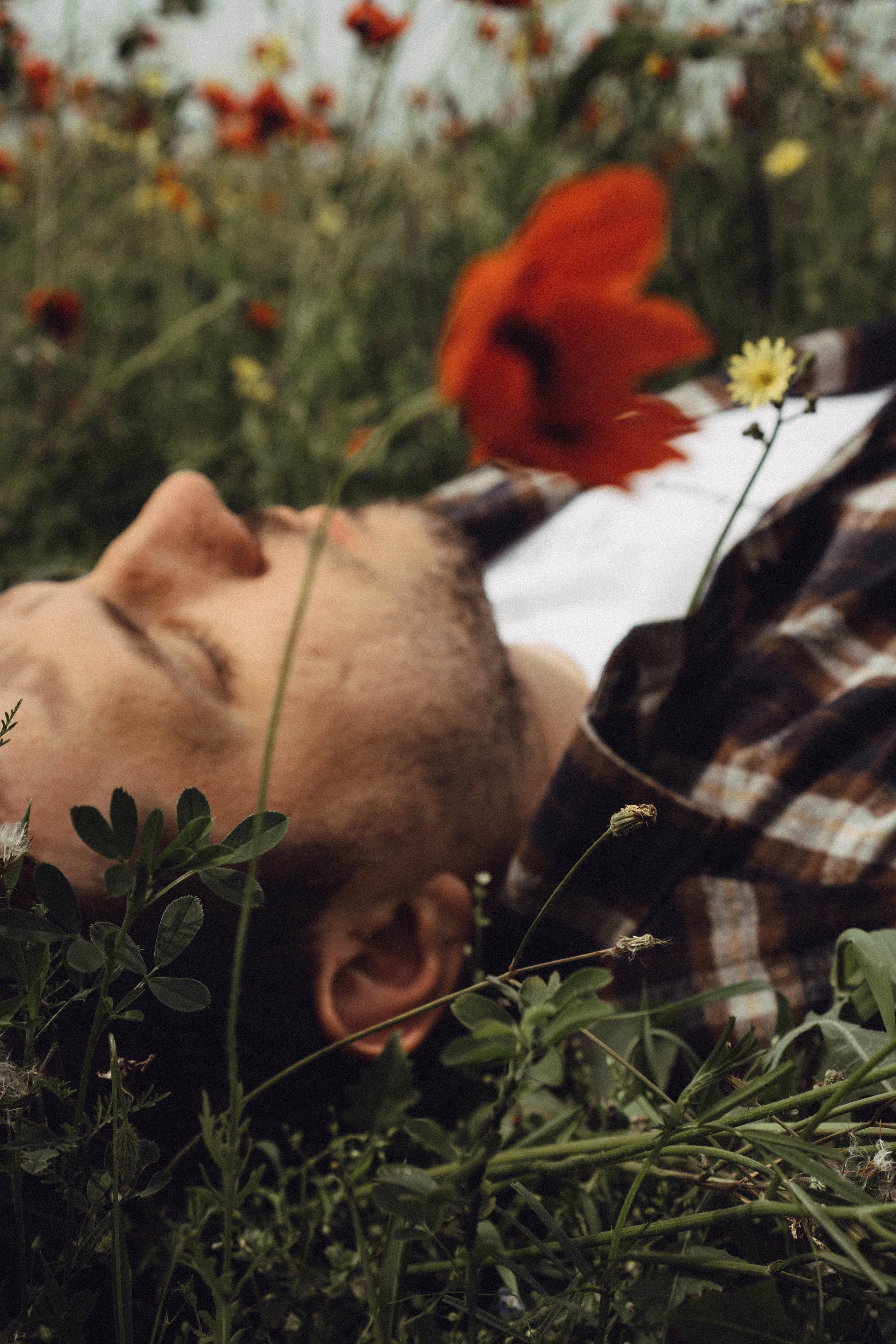 Маки. Профессиональный фотограф, Санкт-Петербург — Виктория Богомолова