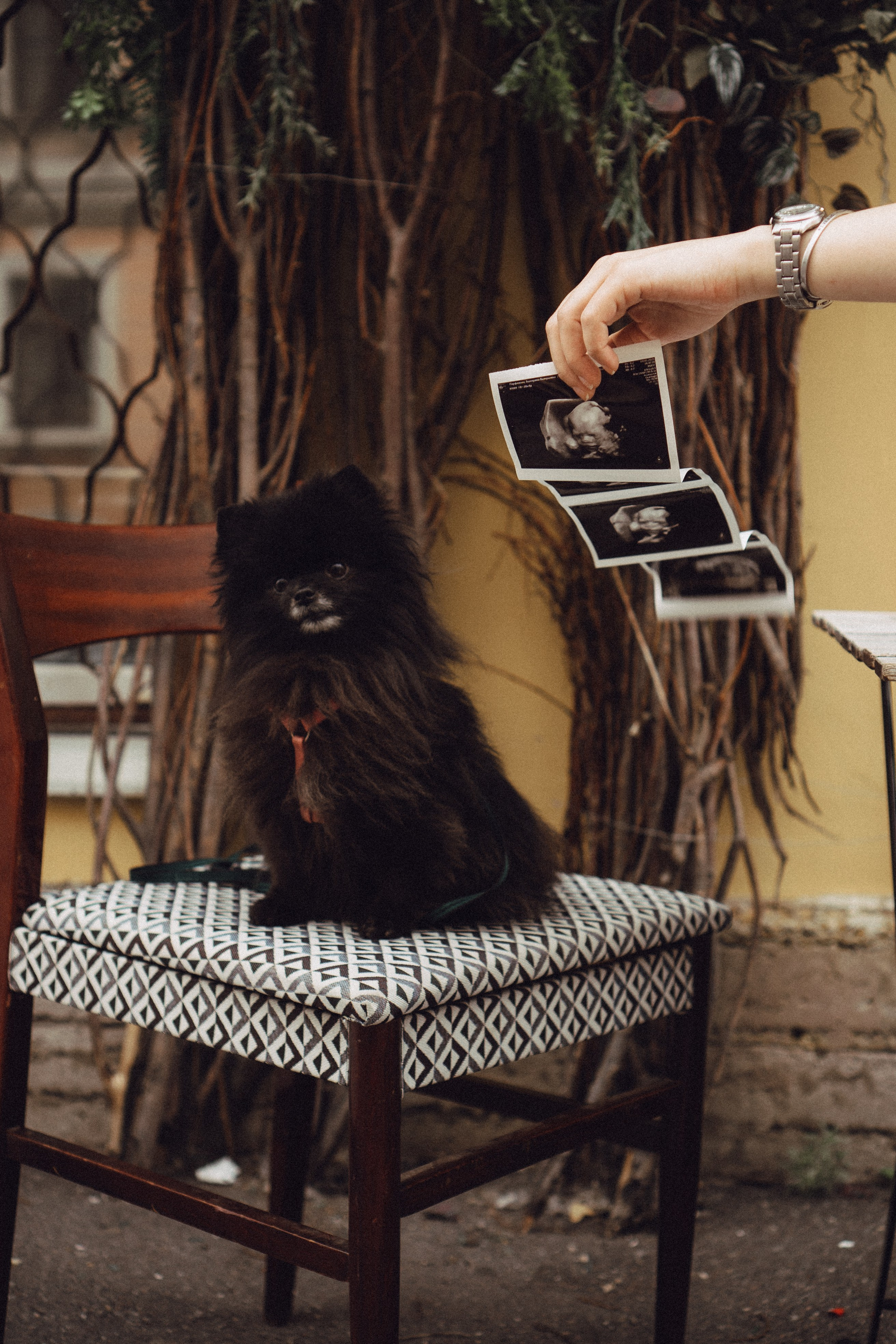 Беременность (только часть фото по желанию клиентов могу показать)). Профессиональный фотограф, Санкт-Петербург — Виктория Богомолова