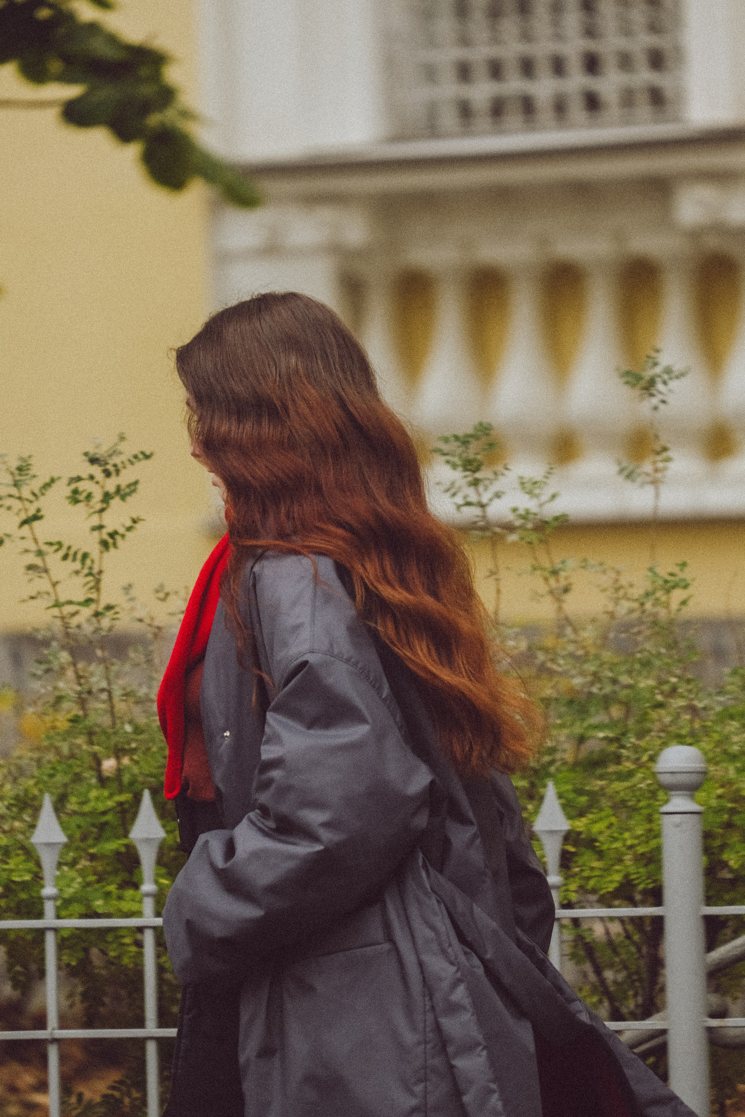 Осень. Профессиональный фотограф, Санкт-Петербург — Виктория Богомолова