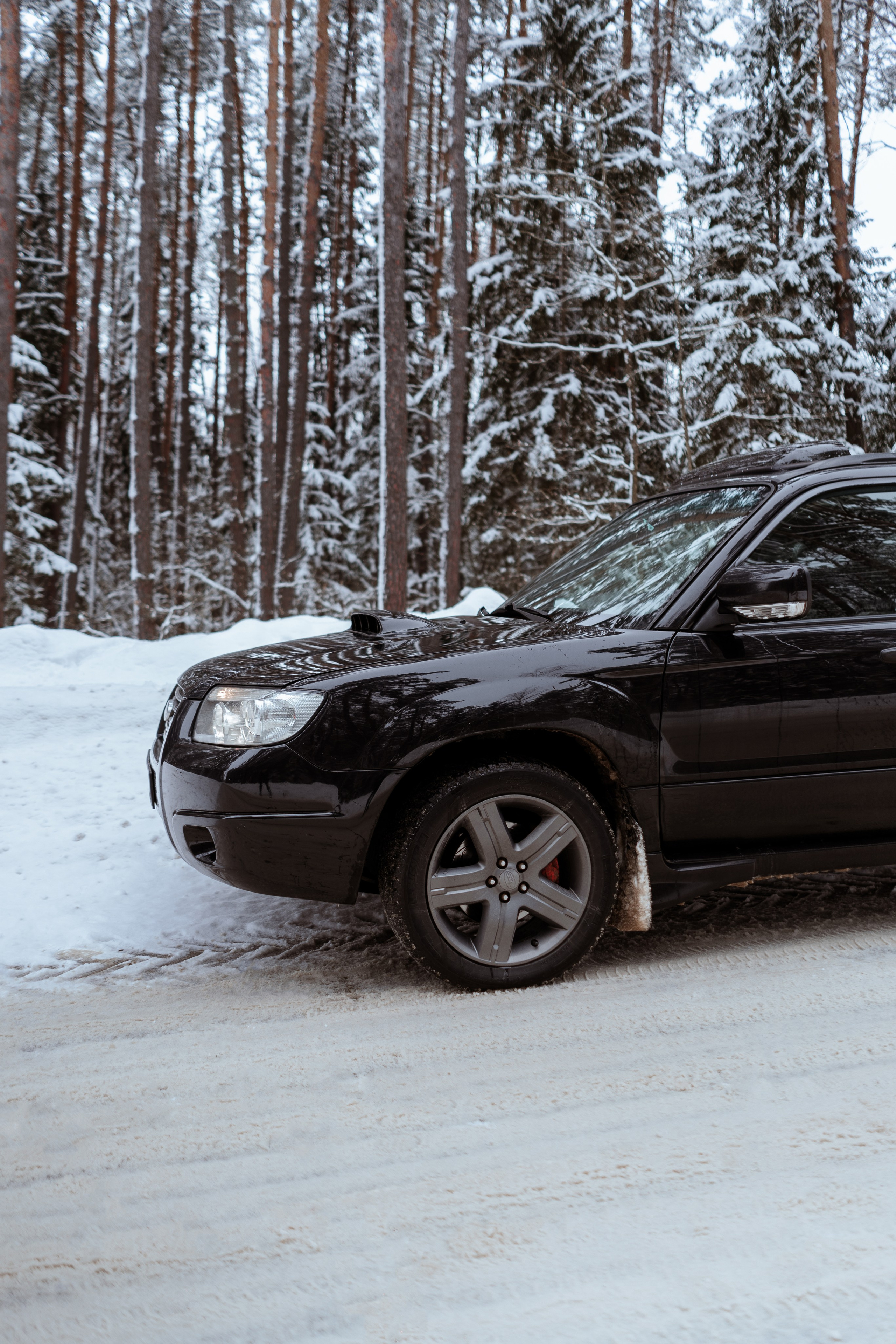 Семейная фотосессия Екатерины и малышки Даши в Калуге